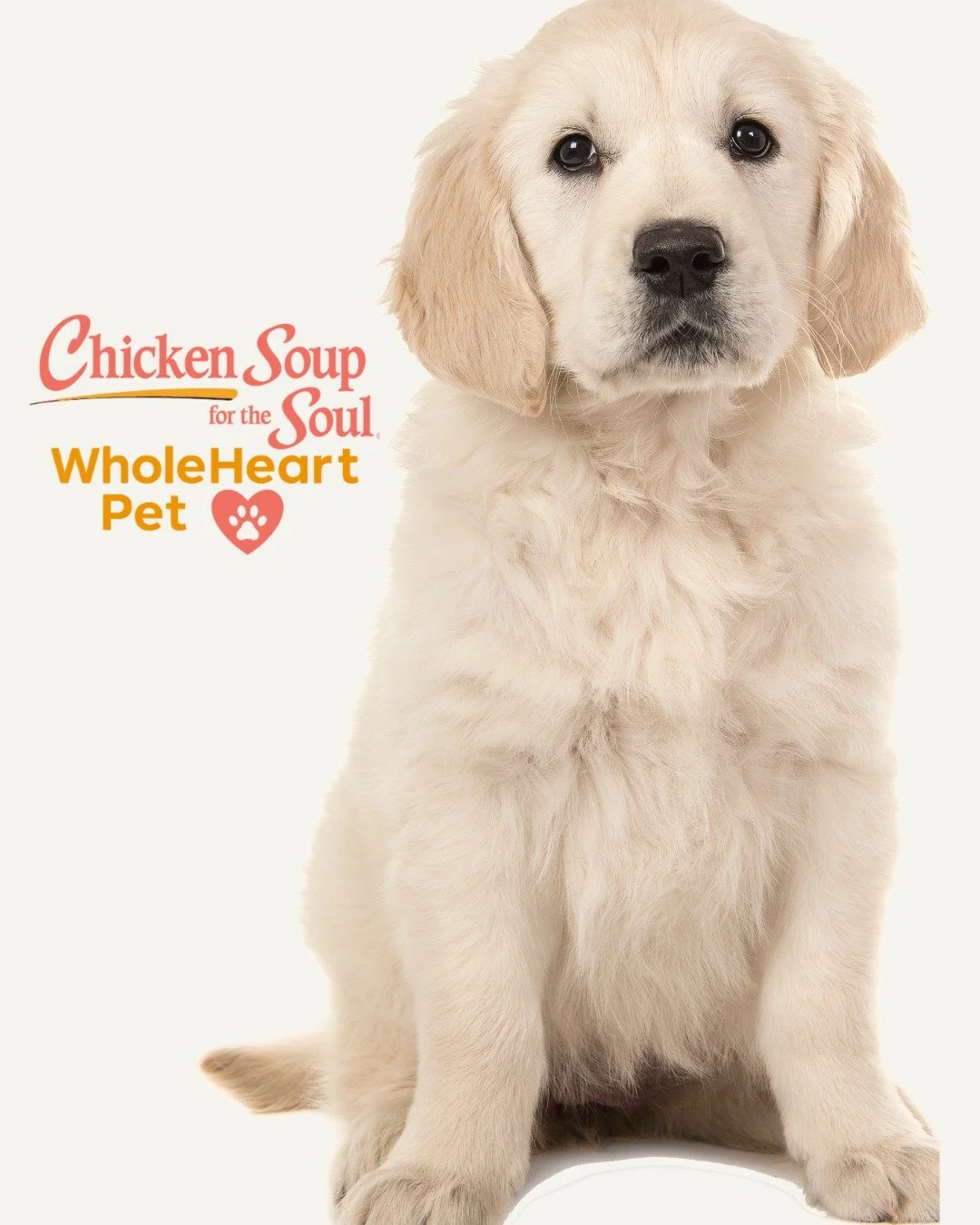 FREE Trial Alert! 🚨🐶🐱
Instant access to licensed vets, right from your phone.
No waiting rooms. Just real help when your pet needs it.
Try WholeHeart Pet FREE now!