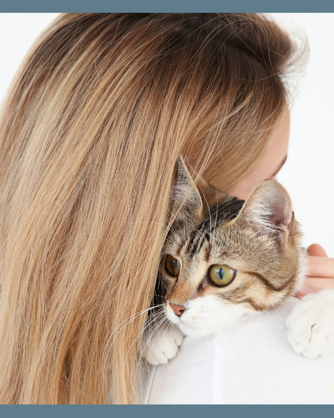 Pet parents deserve peace of mind. 💛

With WholeHeart Pet, you can ask real, licensed veterinarians your questions&mdash;anytime. From odd behaviors to &ldquo;should I worry?&rdquo; moments, our vets are here to guide you with compassion and clarity