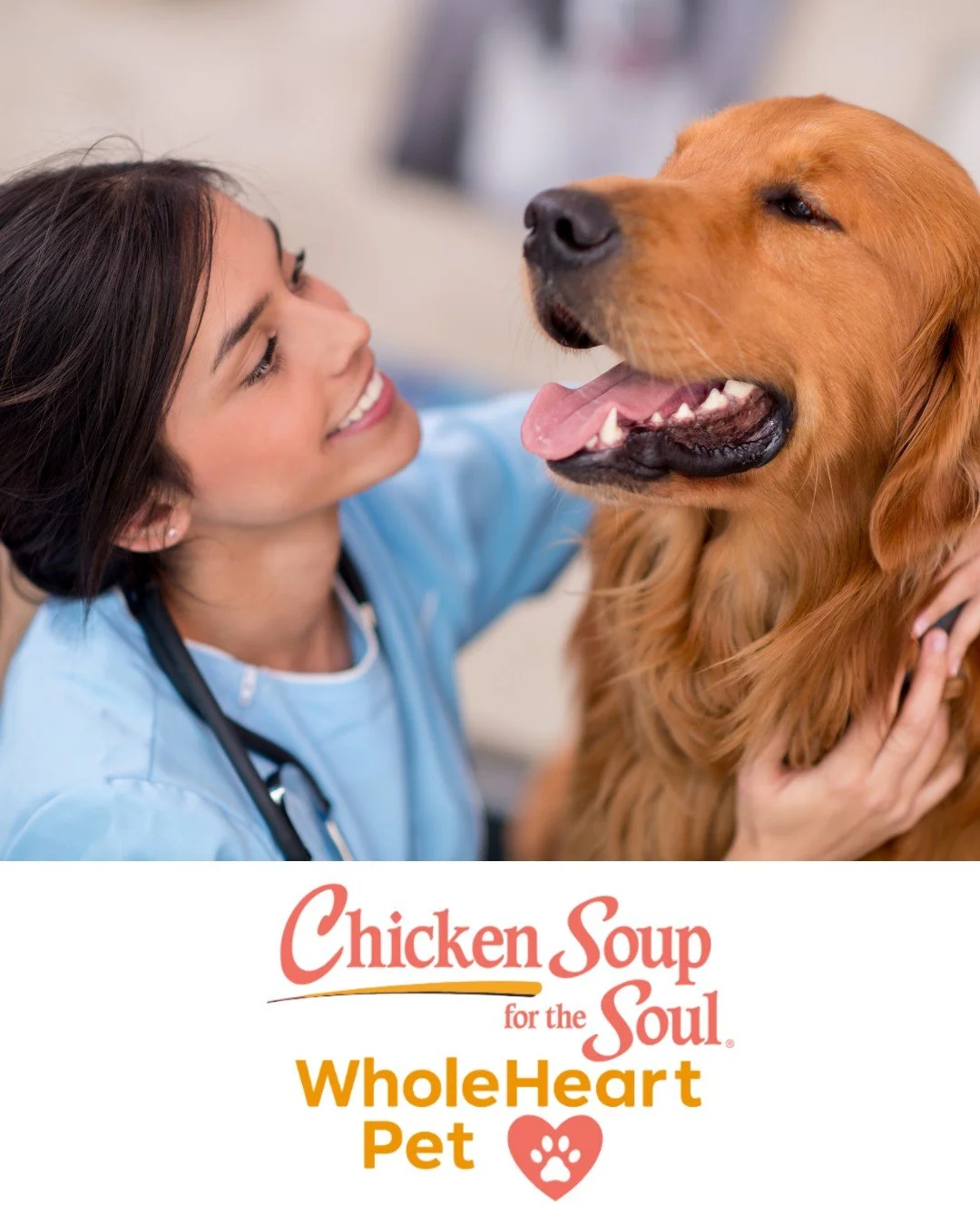 Not sure if it&rsquo;s time to talk to a vet?

🐾 Changes in appetite or energy
🐾 New lumps, bumps, or limping
🐾 Vomiting or diarrhea lasting more than 24 hours

When in doubt, a WholeHeart Pet vet is just a click away.