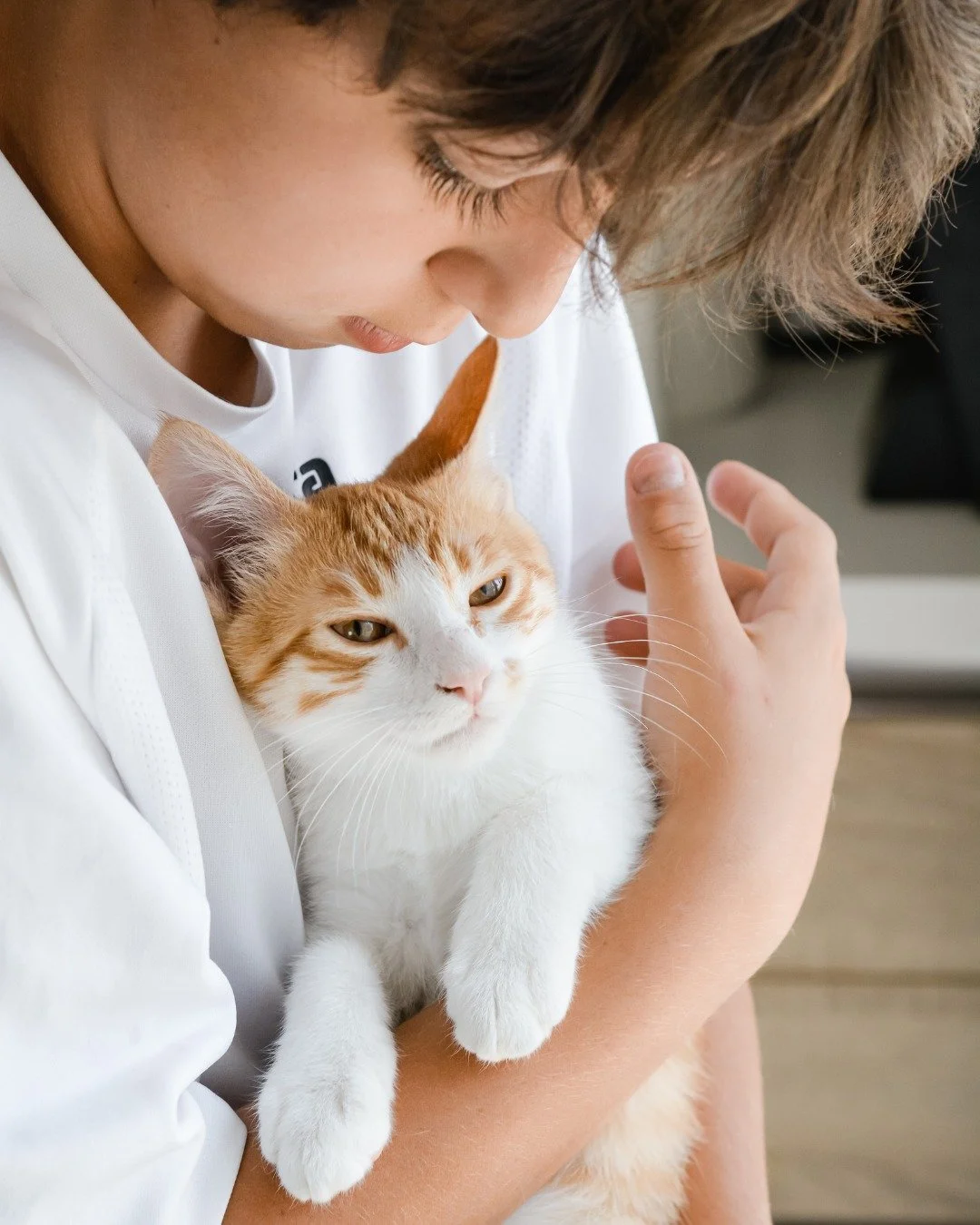 New pet checklist:
✔ Love
✔ Treats
✔ Vet support you can trust

WholeHeart Pet is here for those early days, late-night worries, and everything in between.

✨ Start your free trial today and get on-demand access to licensed veterinarians.