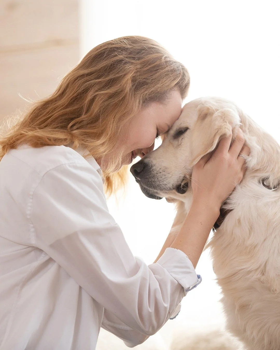 February = cold days, cozy nights, and extra care ❄️🐾
Keep your pet feeling their best this winter with wholesome nutrition, comforting routines, and support when questions come up.

WholeHeart is here all season long 💛