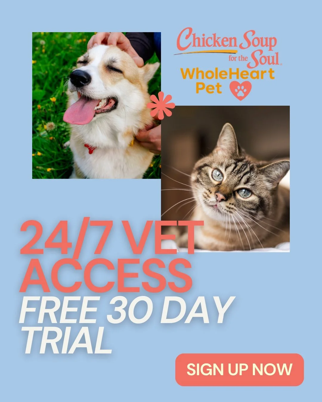 🚨 Pet parents: this is for you.
24/7 vet access. Free for 30 days.
👉 Sign up now.