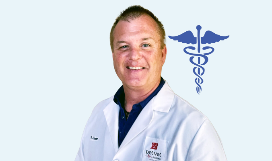 A smiling male veterinarian in a white lab coat stands in front of a light blue background with a medical caduceus symbol.