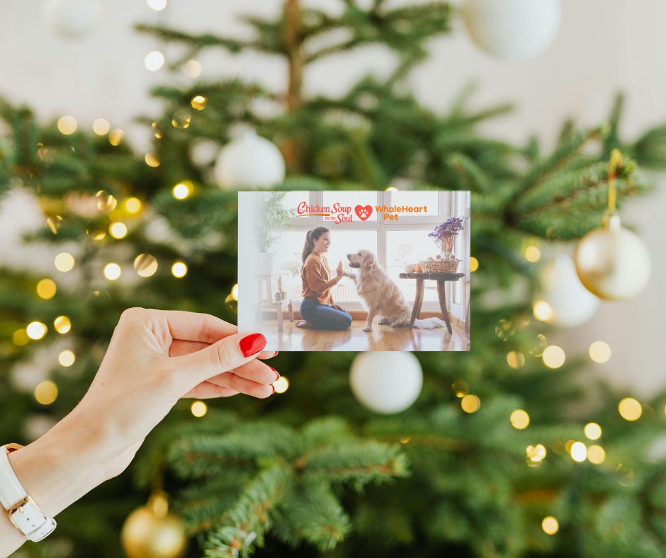 Hand holding a photo in front of a decorated Christmas tree. The photo shows a woman kneeling with a golden retriever dog indoors, with the text 'Chicken Soup for the Soul' and 'WholeHeart Pet' at the top.
