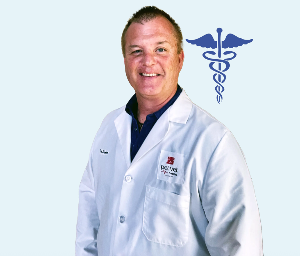 A smiling male veterinarian in a white coat stands in front of a light blue background with a large caduceus symbol.