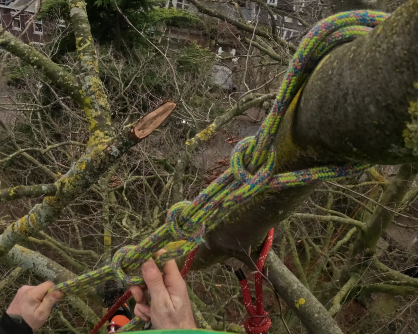 Beasthorn redirect vs…