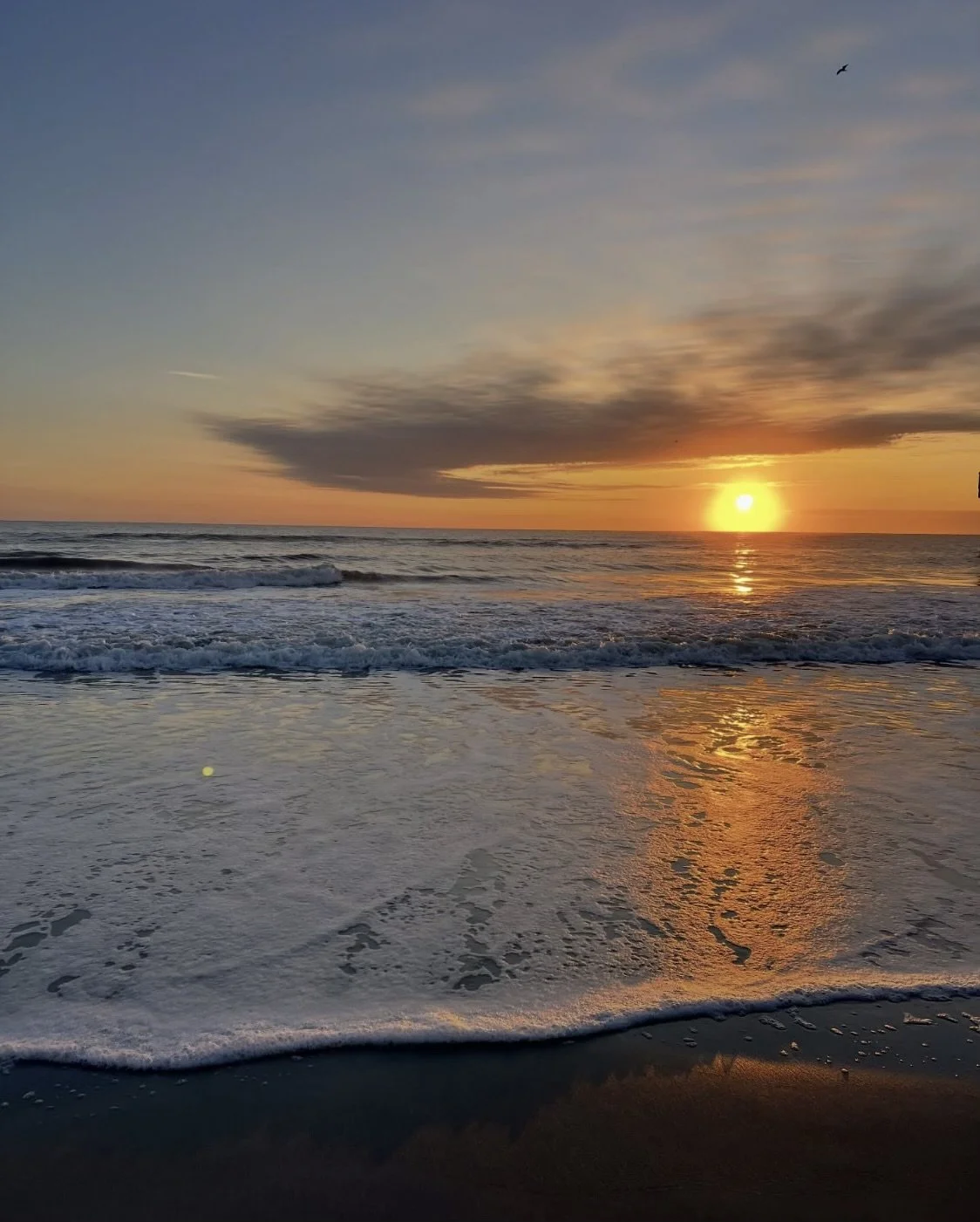 Sunset over ocean waves at a beach, with golden reflections on wet sand and a bird in the sky