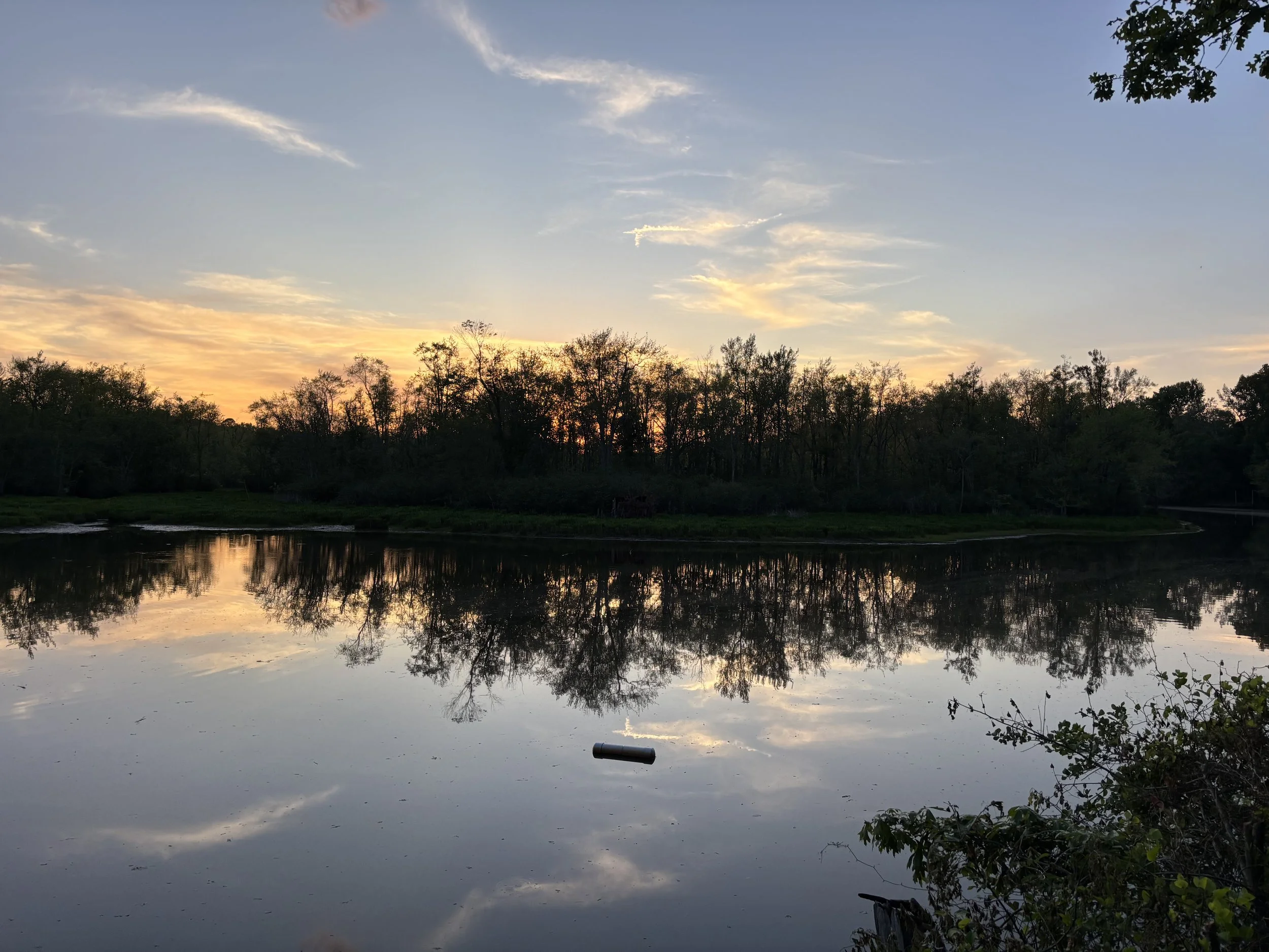 IMG_7098.jpeg