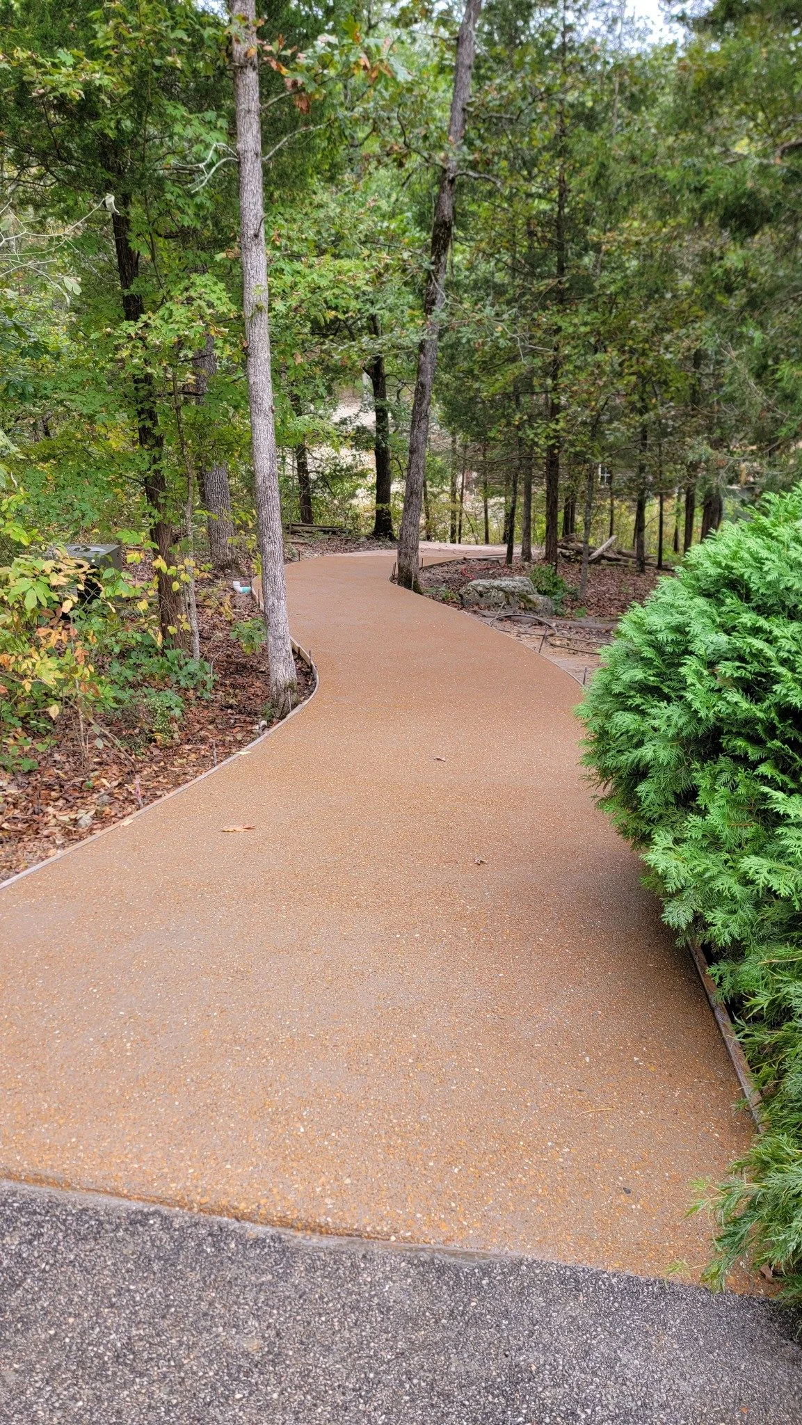 A paved, curving walking trail through a wooded area with trees, bushes, and fallen leaves.