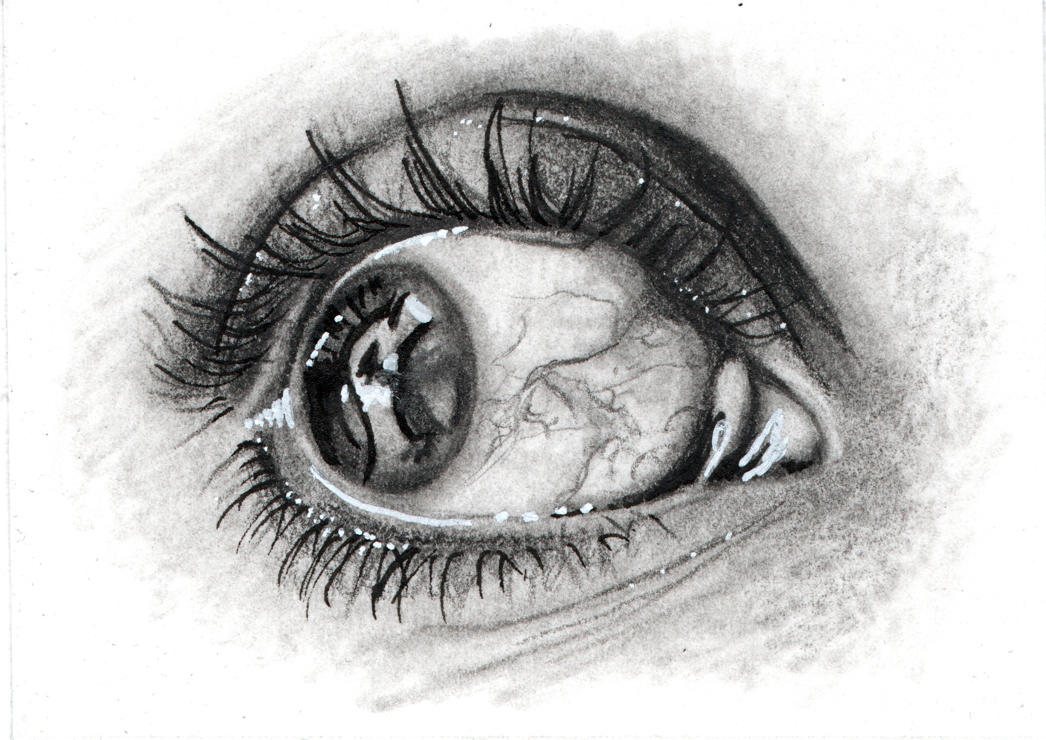 img20260507_21140309.png