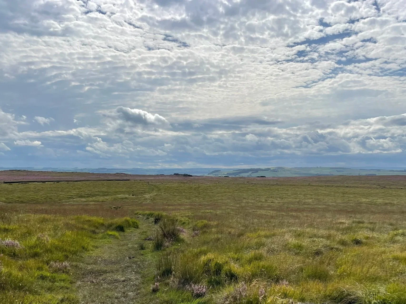 Peaceful heath land path symbolising personal growth in therapy.