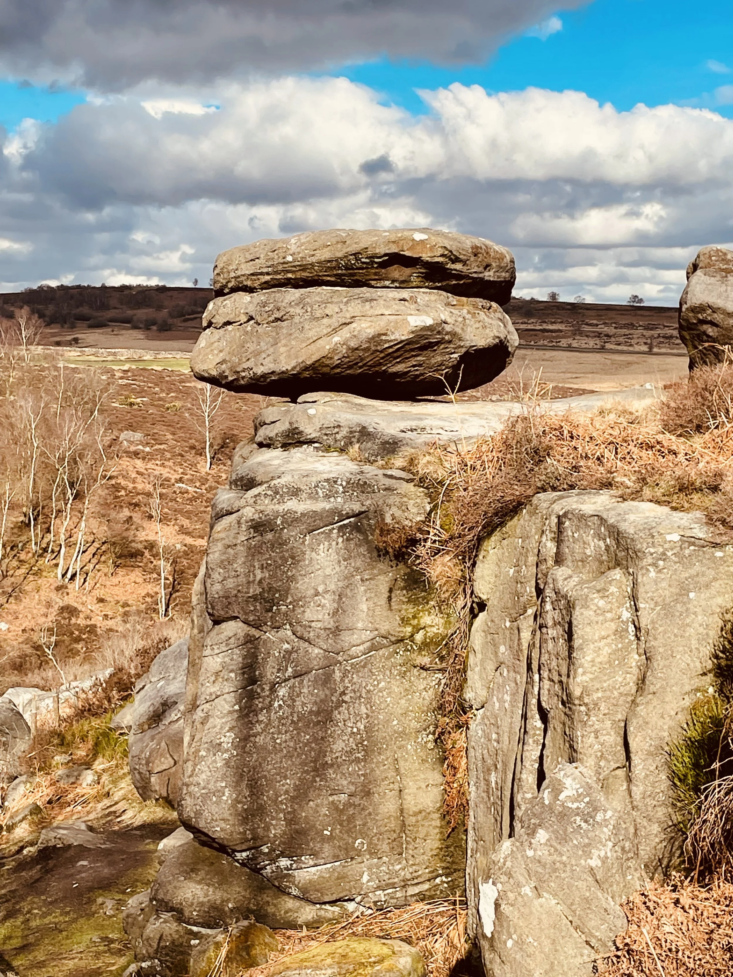Natural landscape with boulders in foreground
