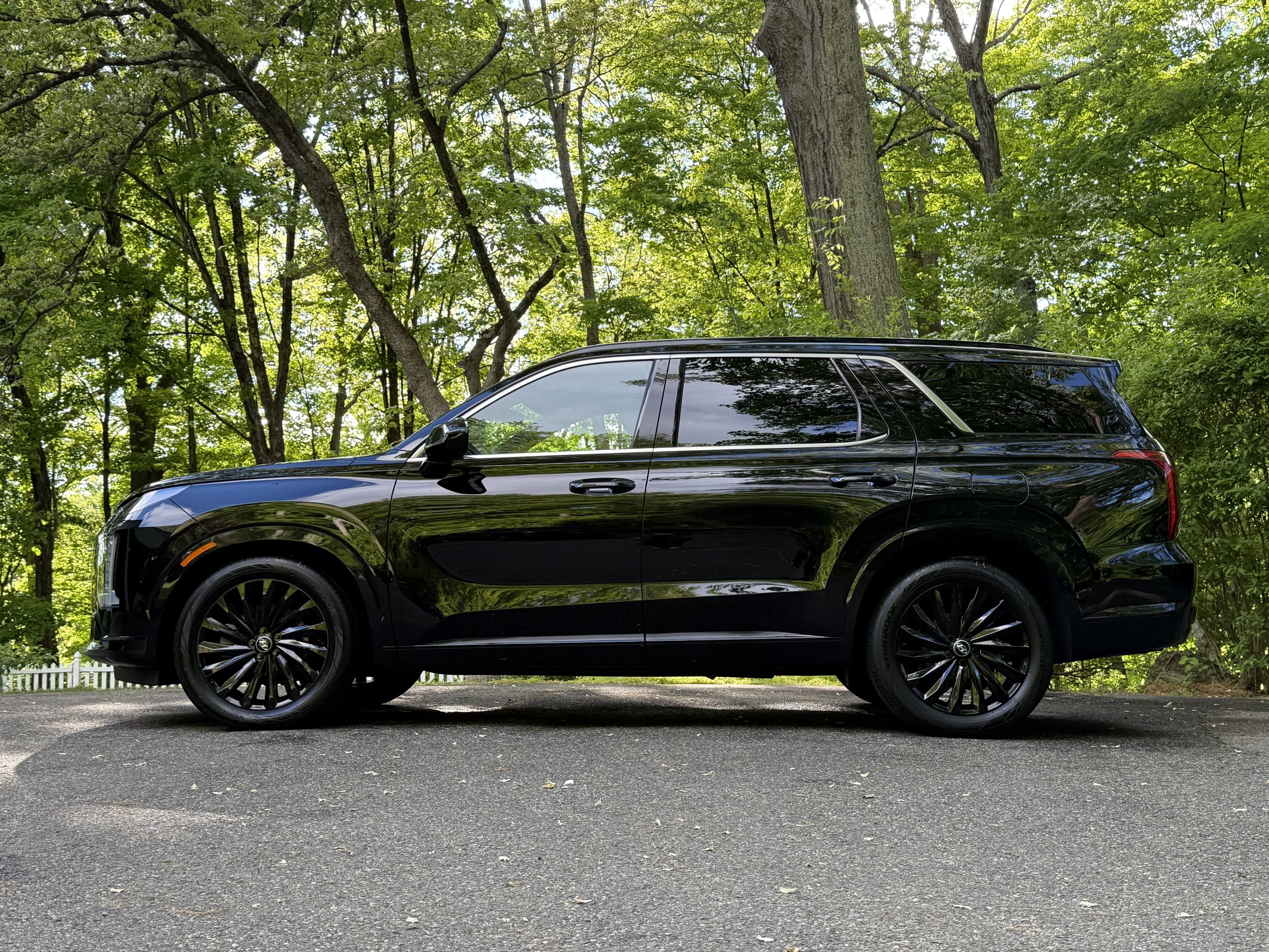 A black SUV parked on a driveway amid a lush green forest with tall trees and leafy canopy.