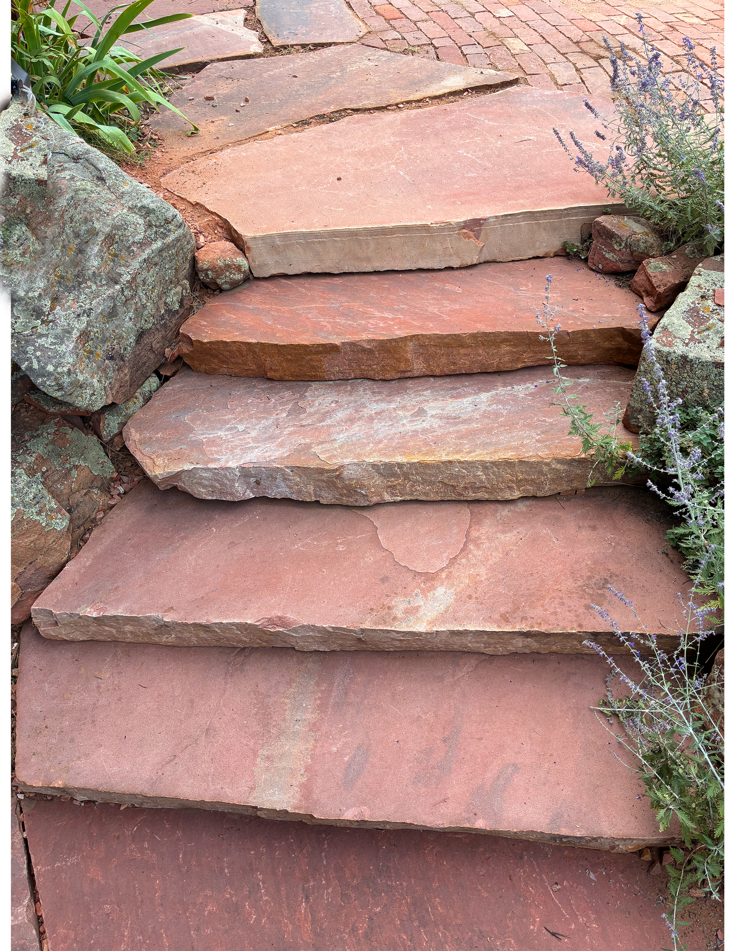 A close-up view of reddish-brown stone steps with some plants and rocks on the sides.
