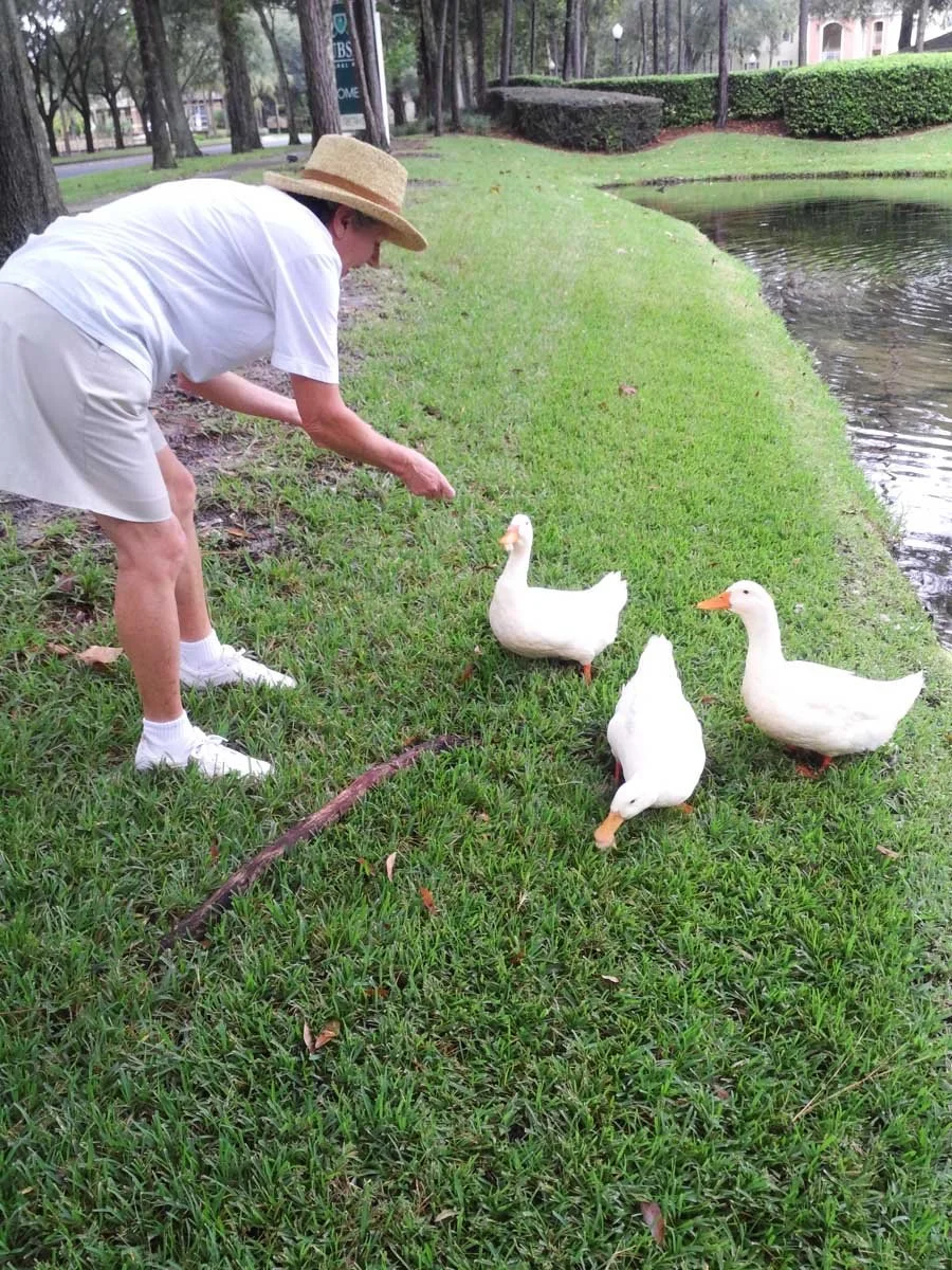 Feeding-The-Ducks.jpg