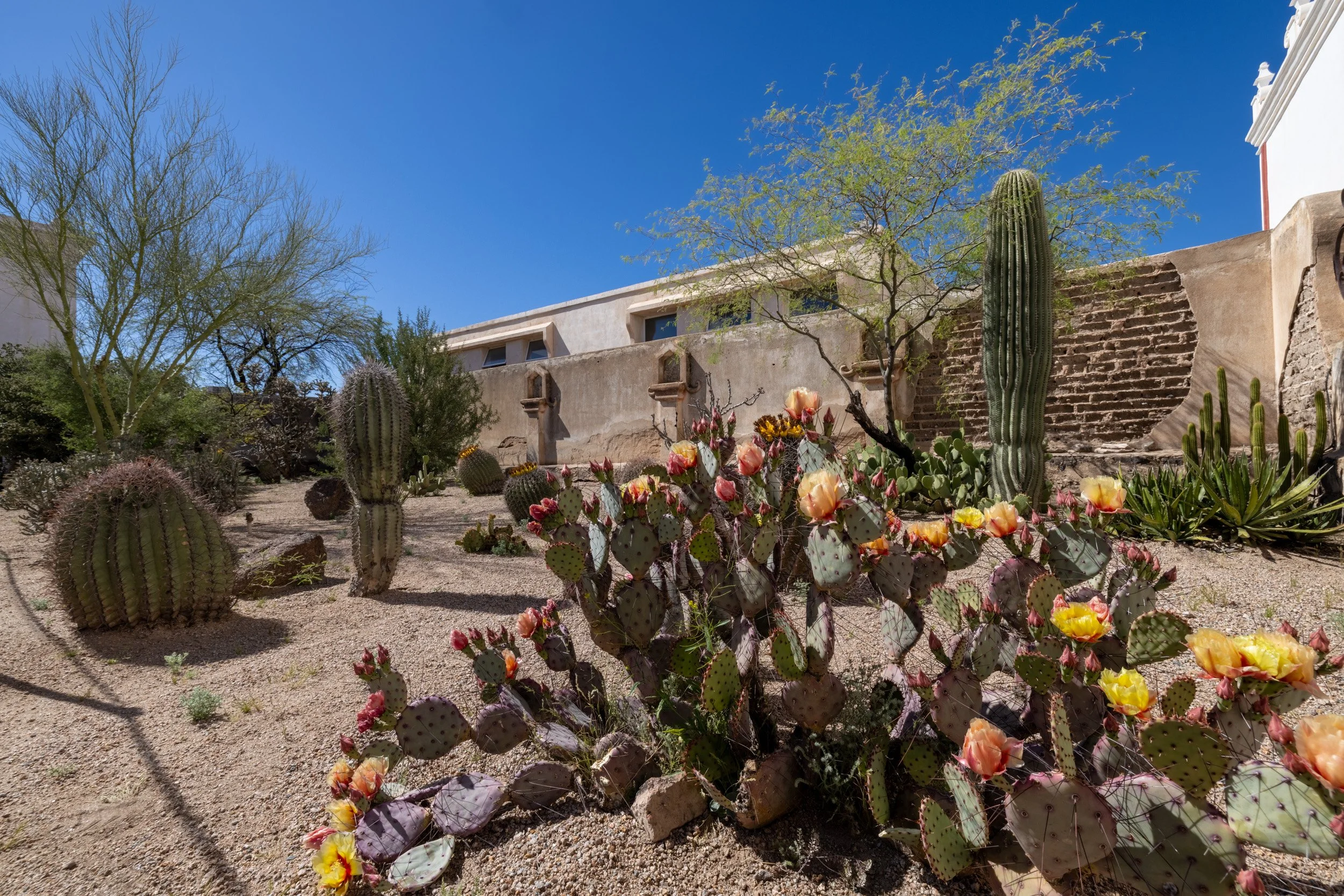 LJ_4685-HDR.jpg