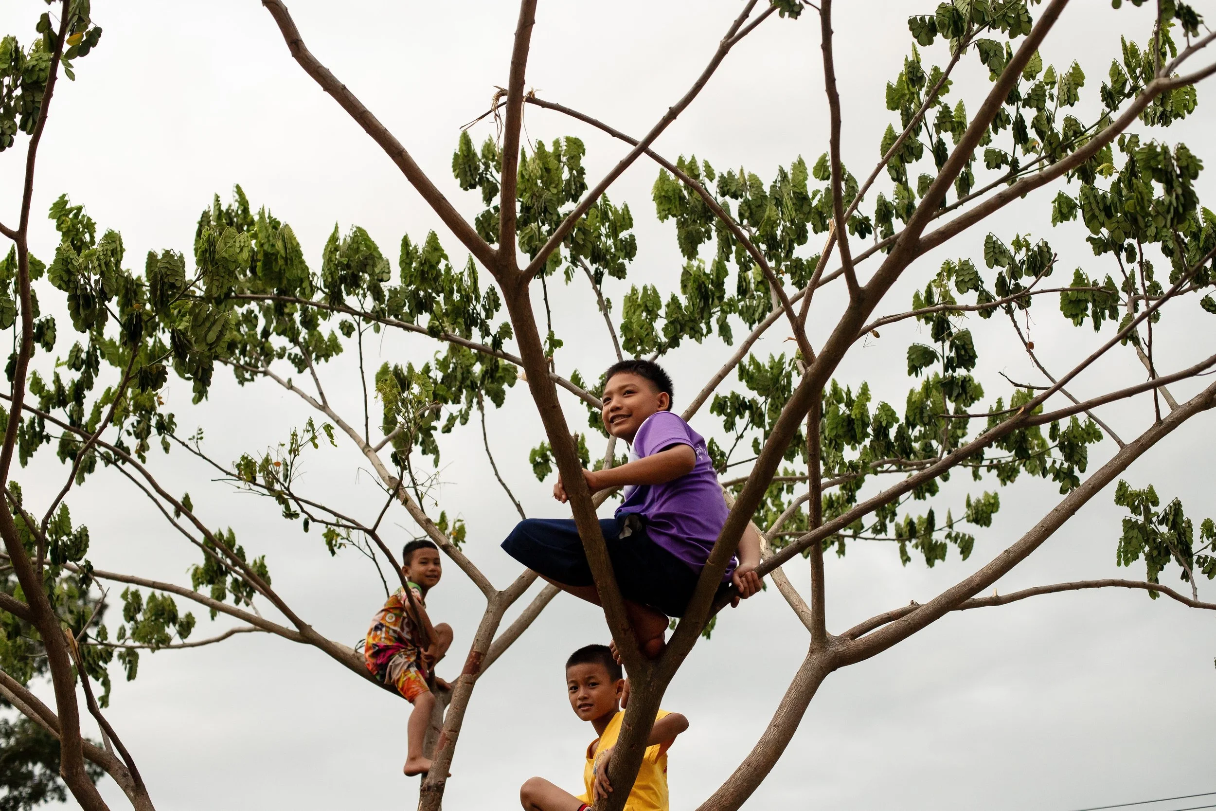 20 - Climbing Trees (1).jpg