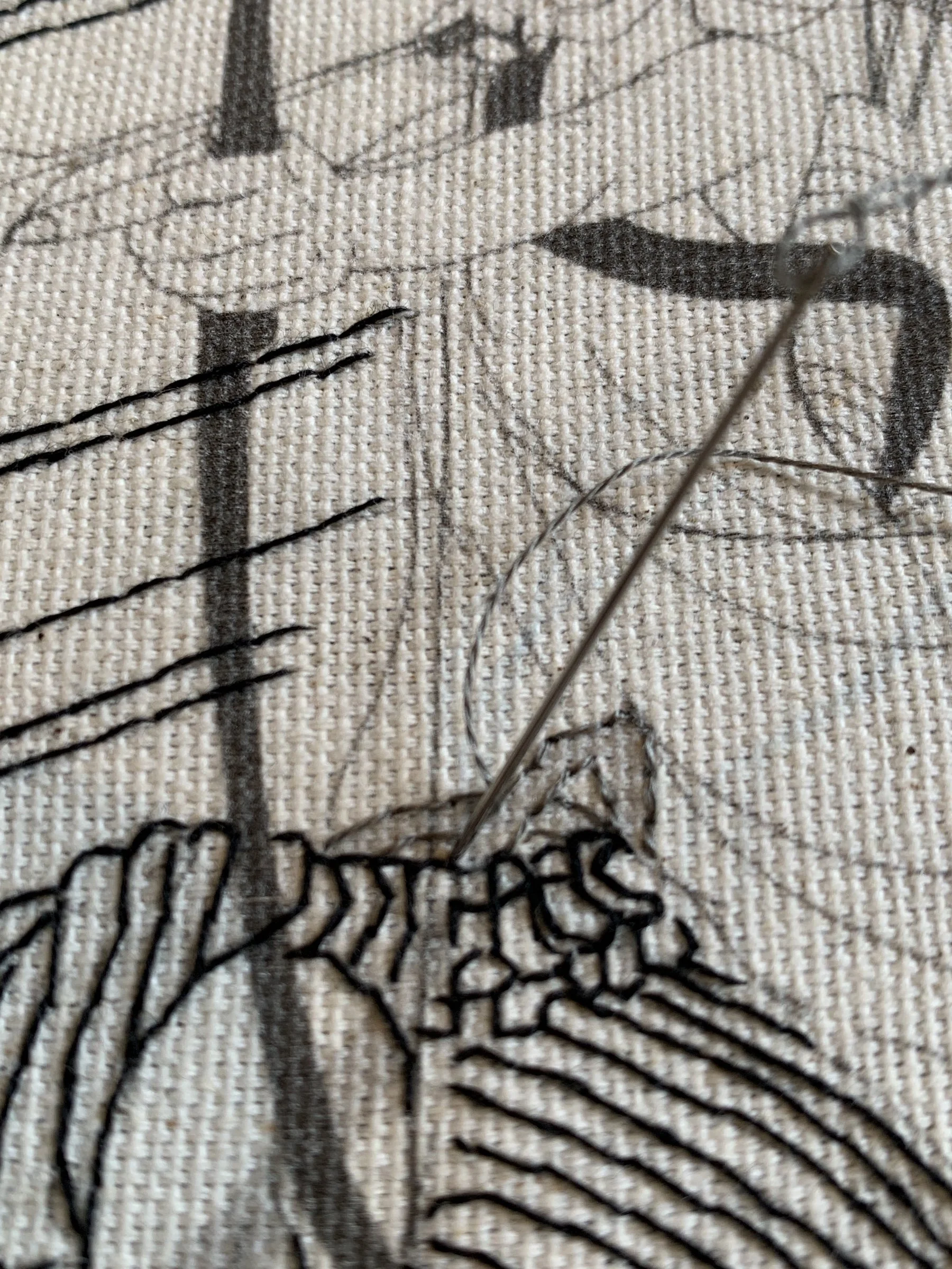 embroidery stitch on horse skelton of Sagittarius embroidery.jpeg