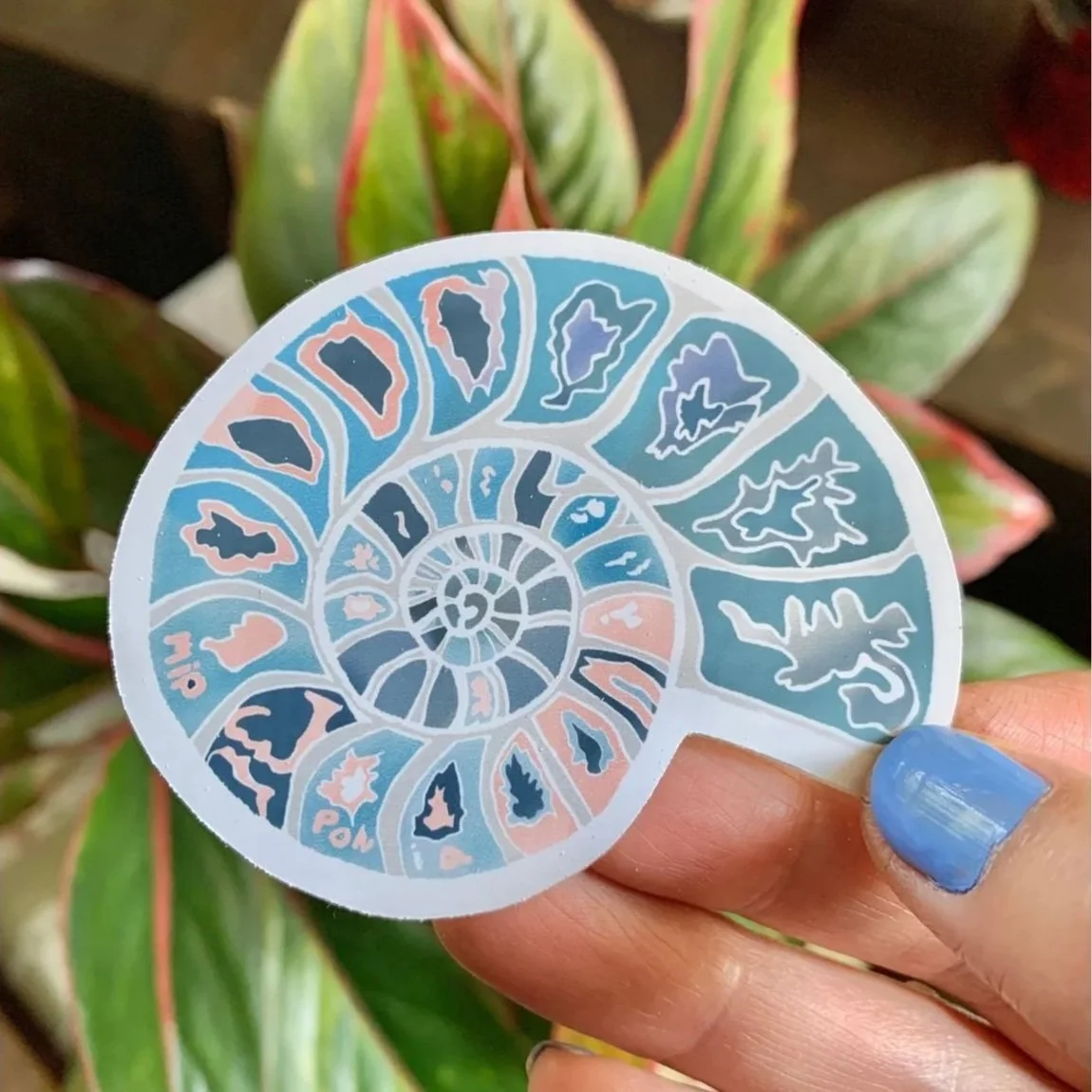 Ammonite+sticker+blue-pink.jpg