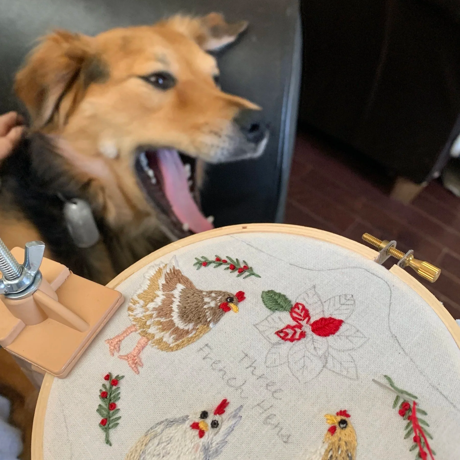 stitching+Holiday+hens+design+embroidery+hoop+with+a+dog+behind.png