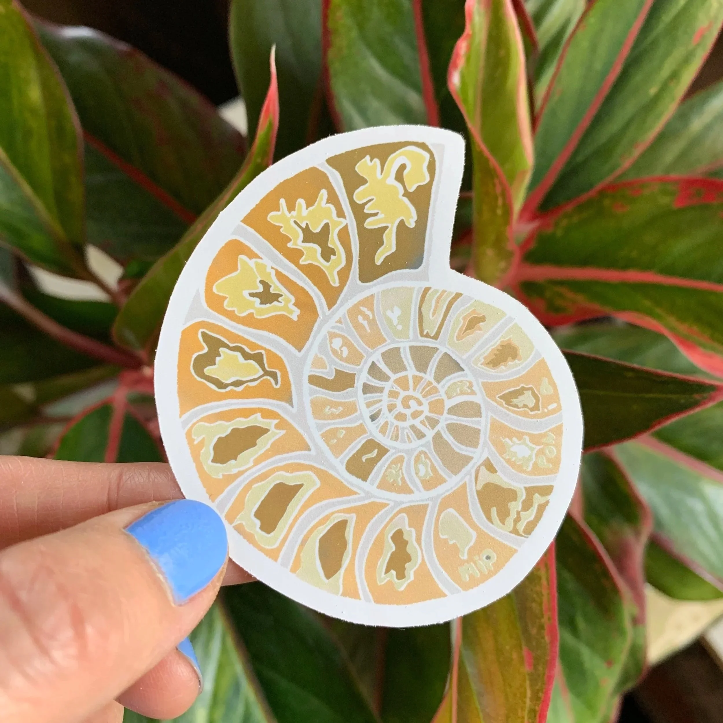 Ammonite-sticker-Yellow-Orange