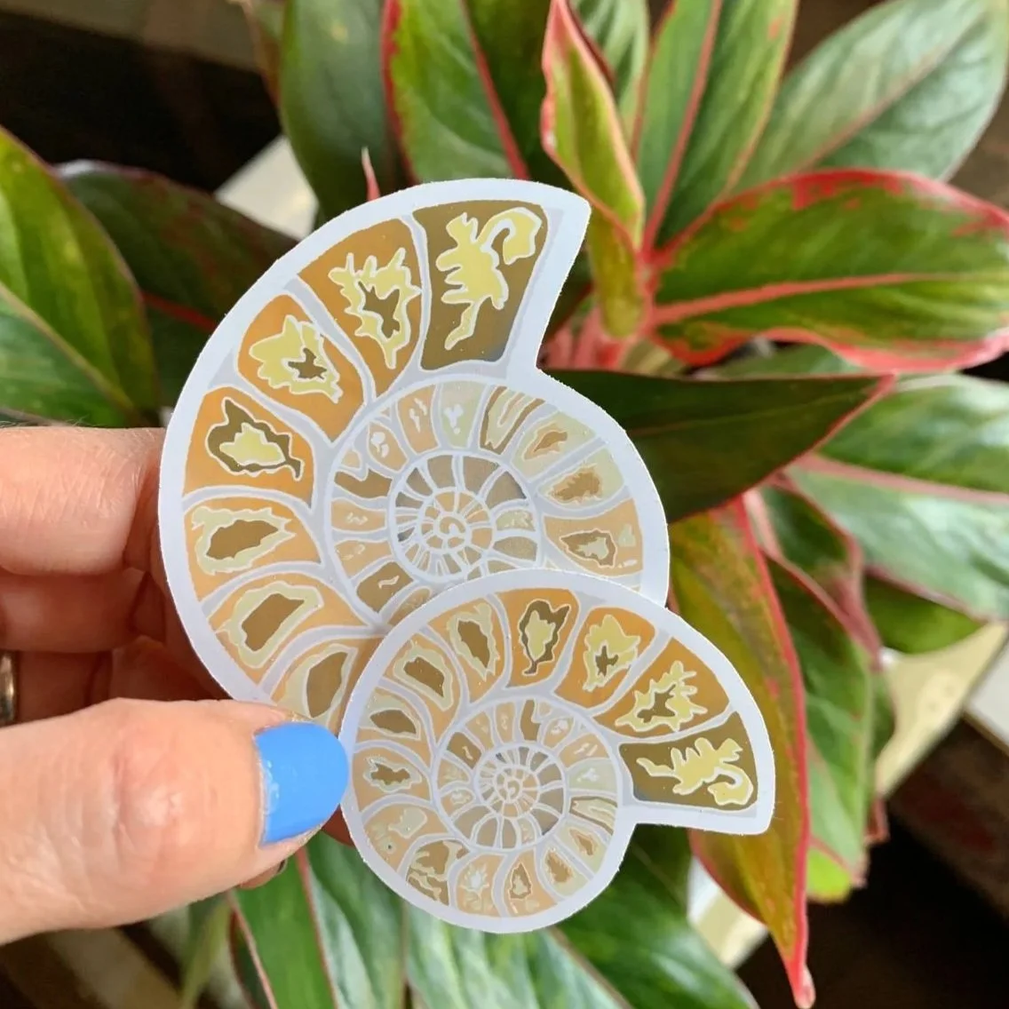 Ammonite+sticker+yellow-orange.jpg