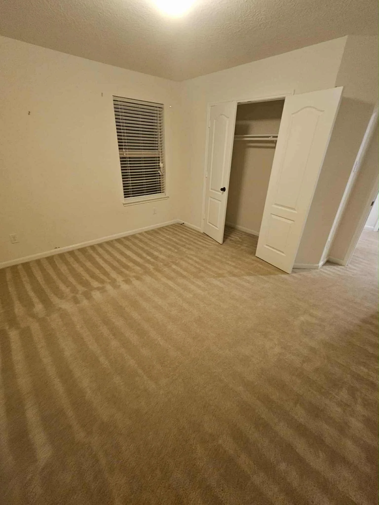 carpet11.jpg