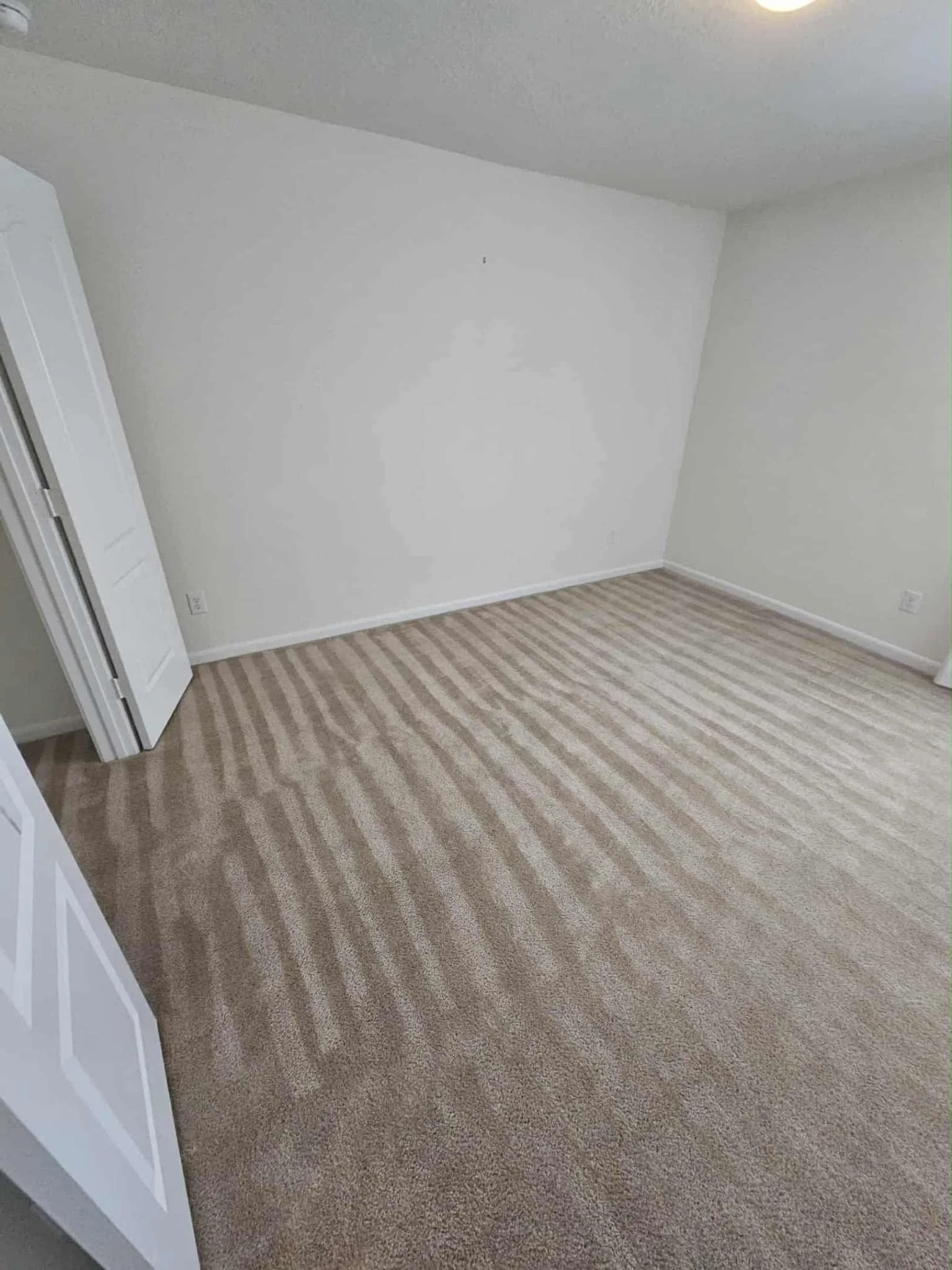 carpet7.jpg