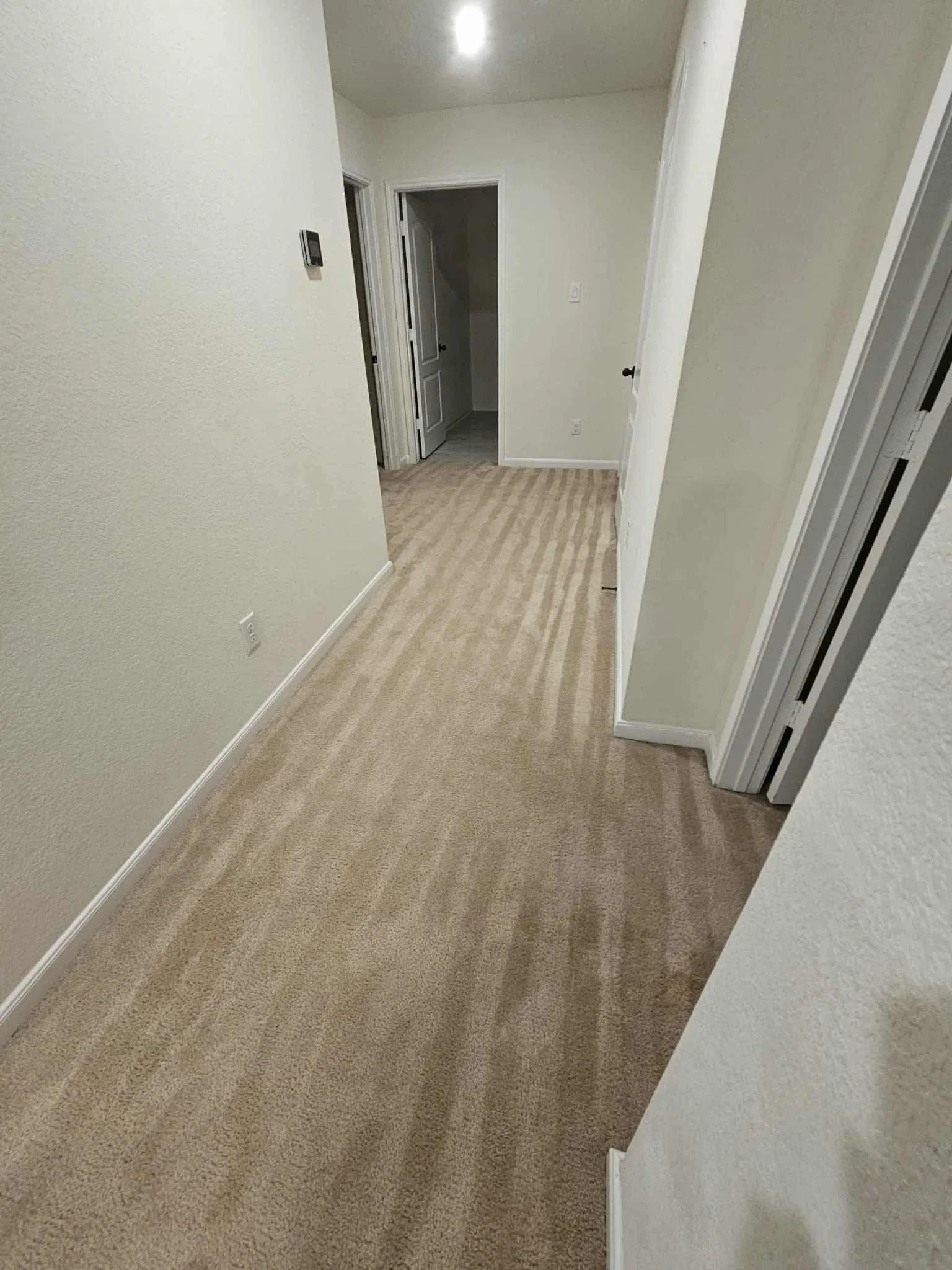carpet10.jpg