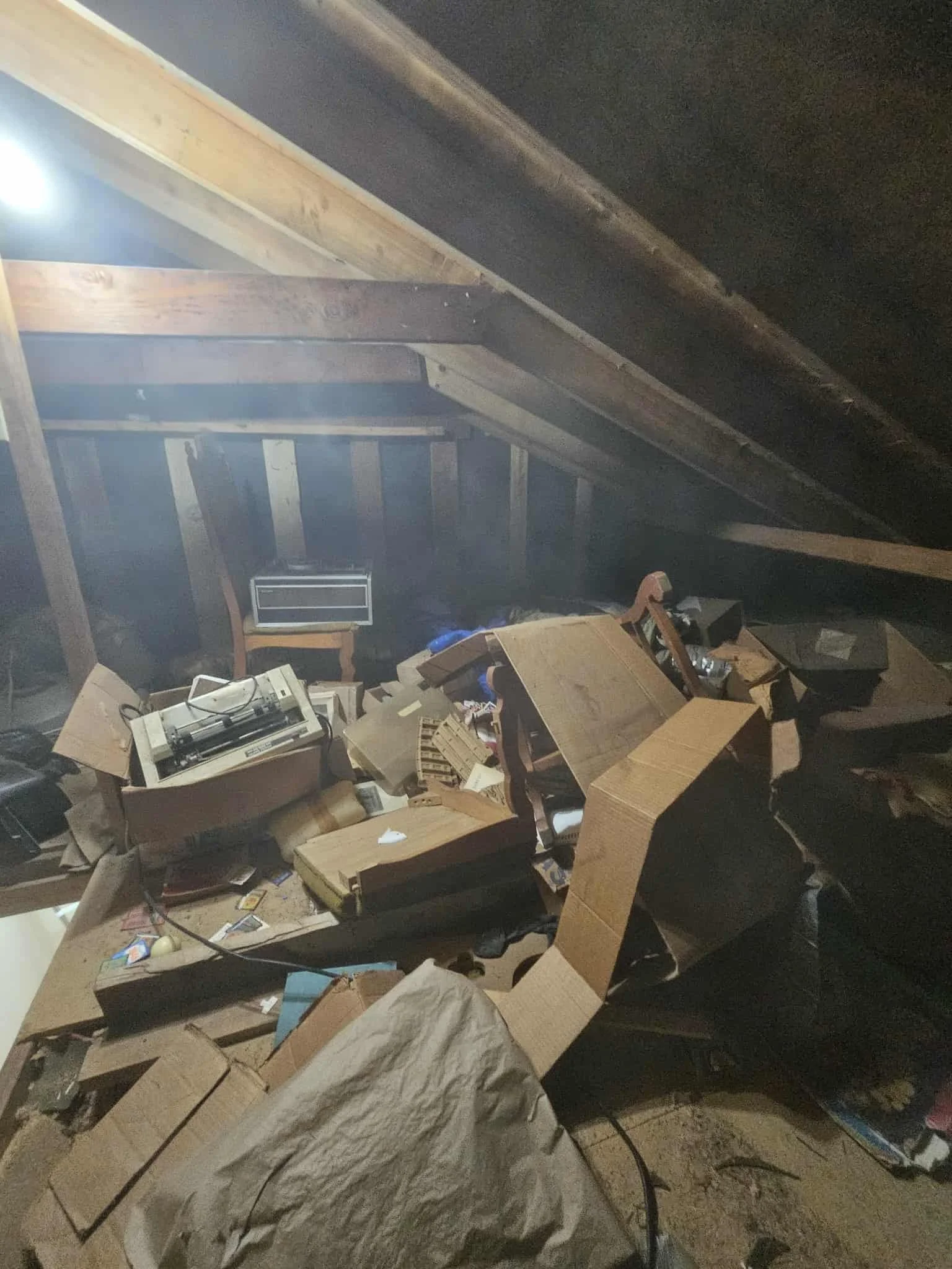 attic4.jpg