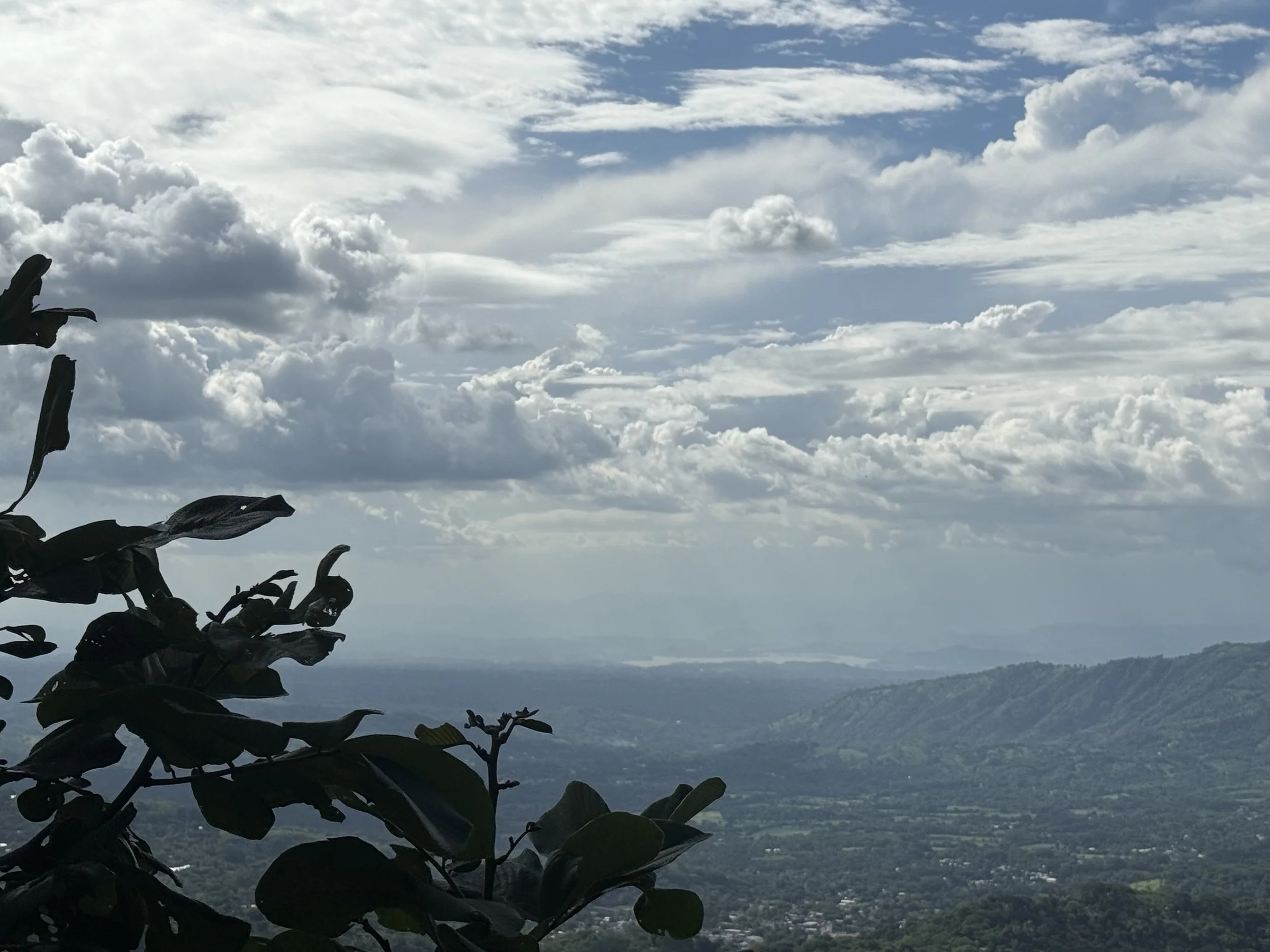 Coffee farm at Usulutan with Rio Lempa at the background