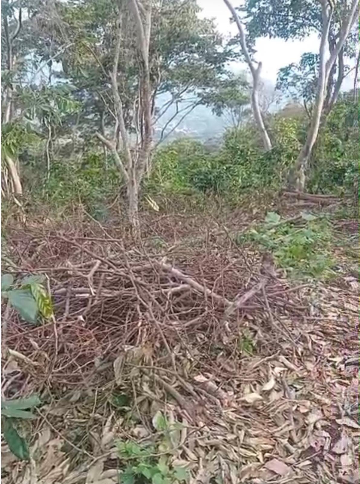 No waste at finca San Francisco