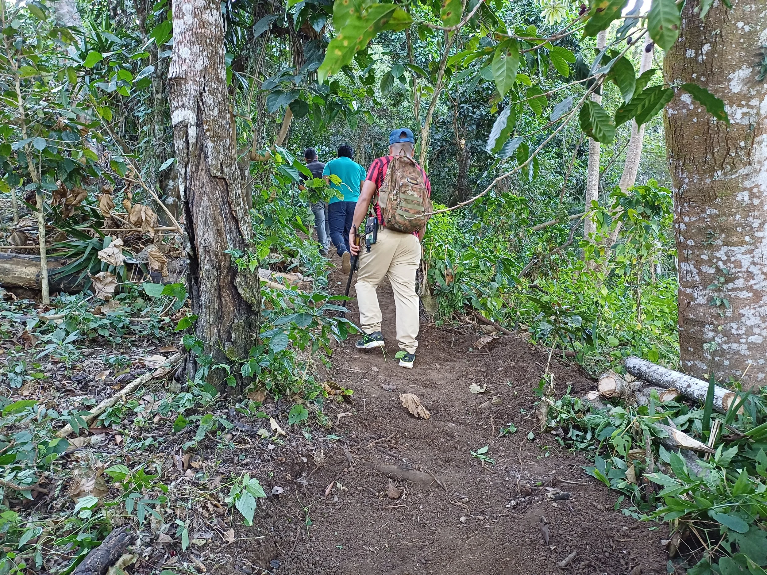 Coffee farm Chinameca