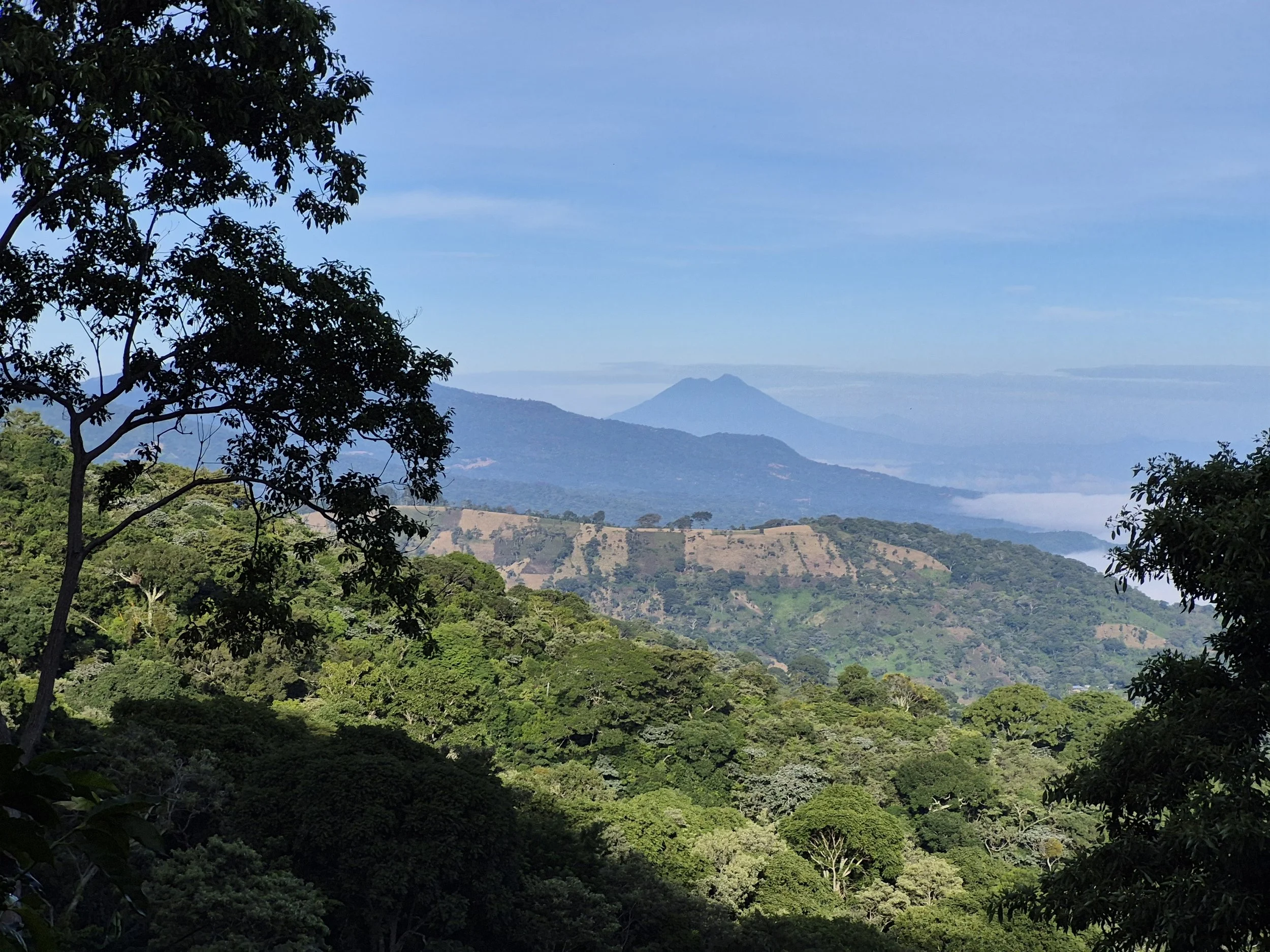 Scenic view of lush green forested mountains with a distant volcano, blue sky, and some clouds.