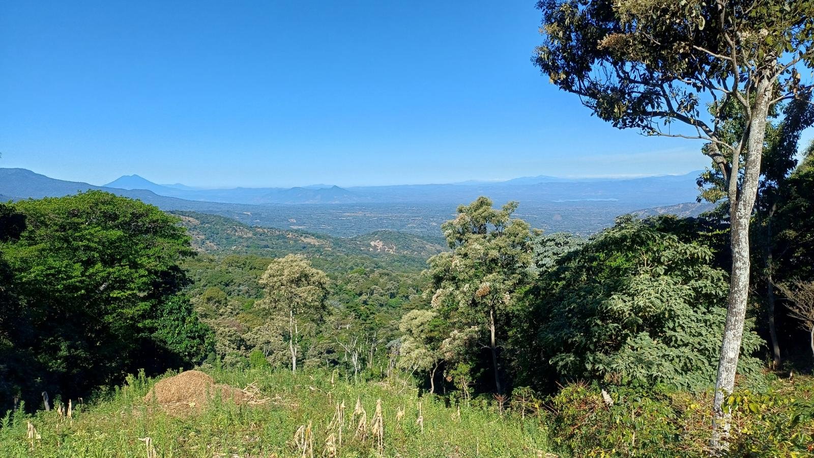 coffee-farm-trails-chinameca-el-salvador.jpg