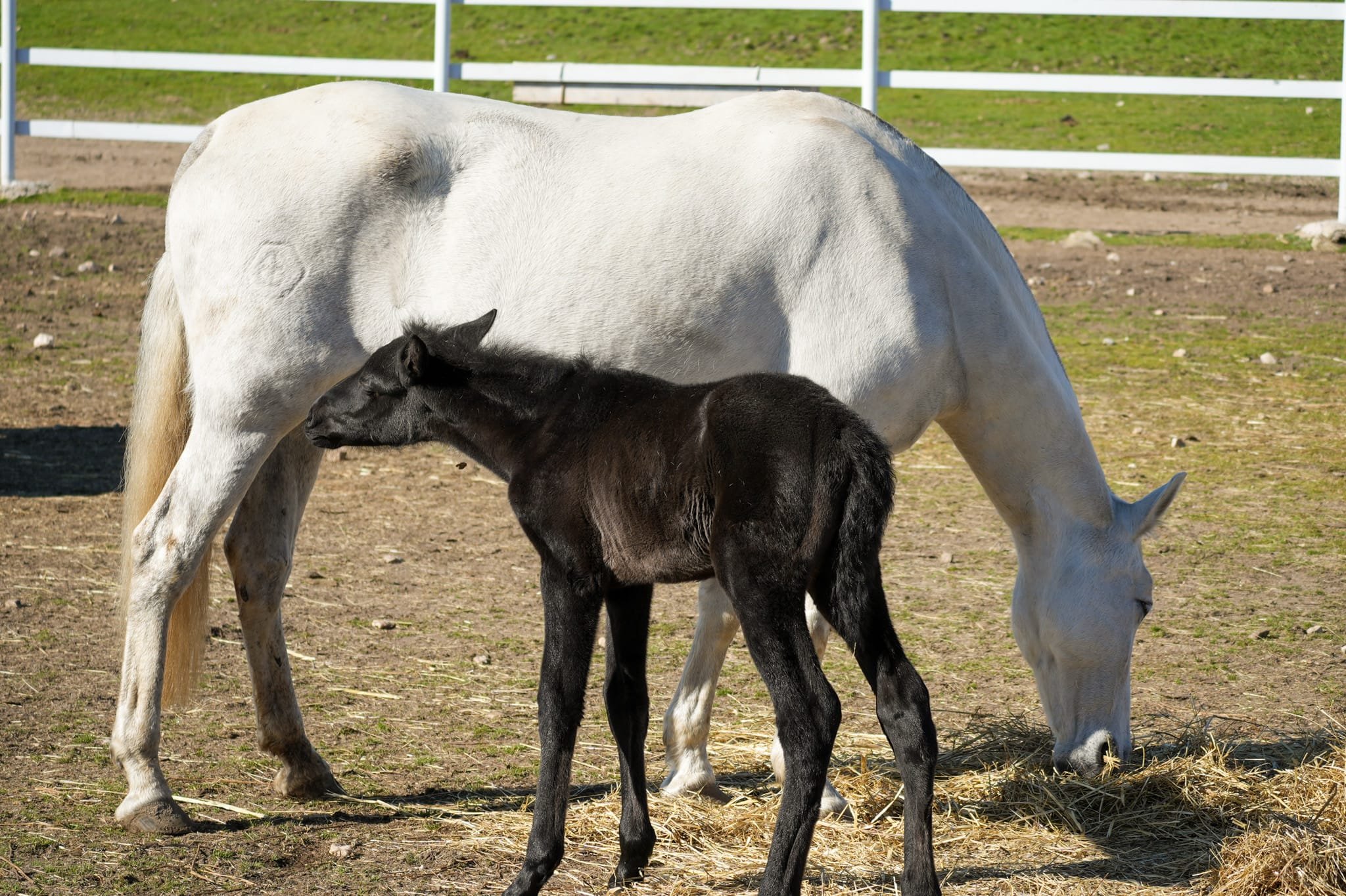 WhatsApp Image 2026-04-06 at 10.19.59.jpeg