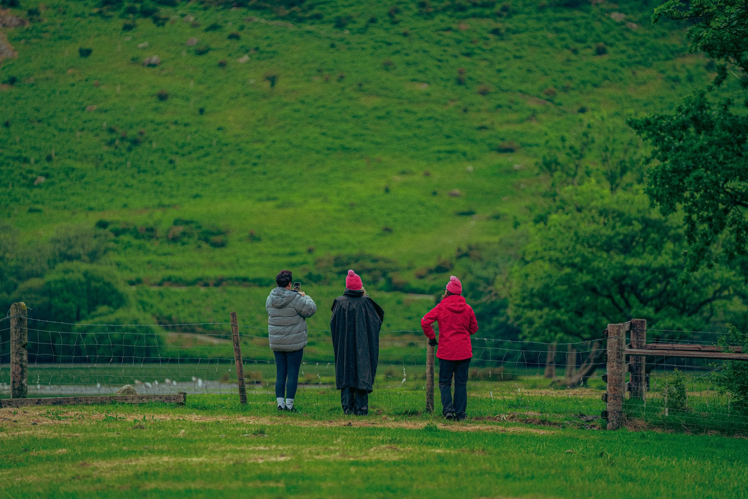 30352_NITW_LAKE_DISTRICT_06_2025_DSC00795_NEWL.jpg