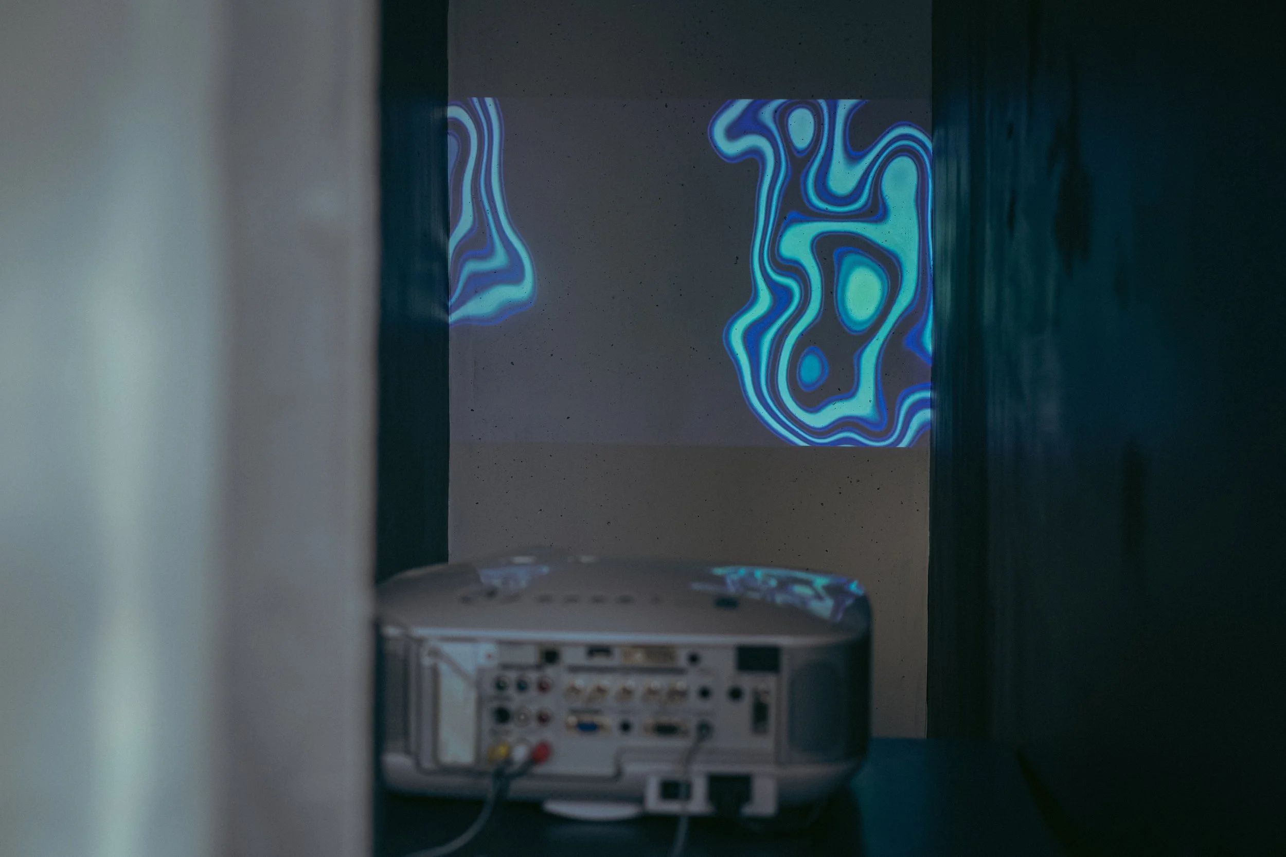 SYMBIOSES_EXHIBITION_2026_DSC06240.jpg