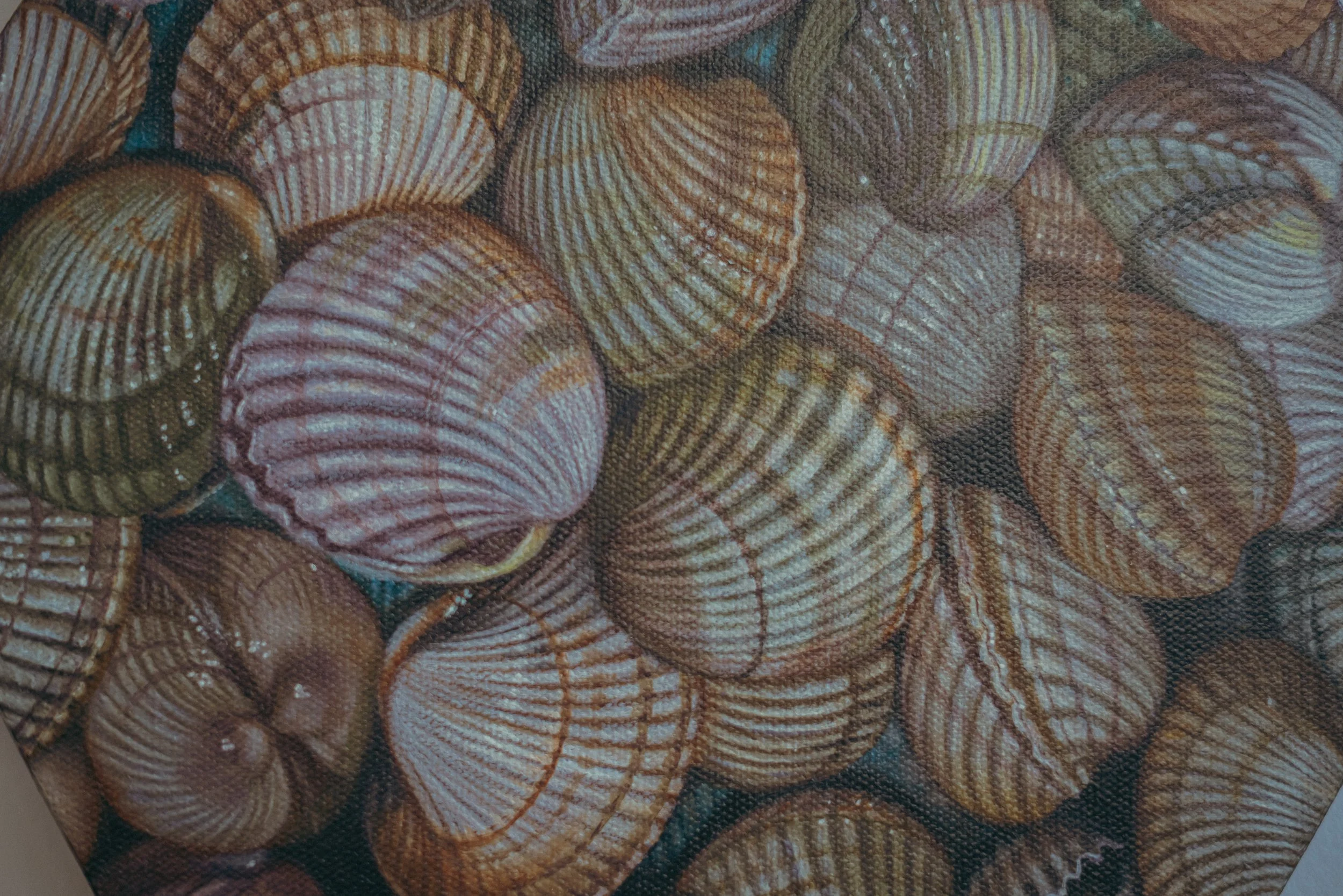 SYMBIOSES_EXHIBITION_2026_DSC06298.jpg