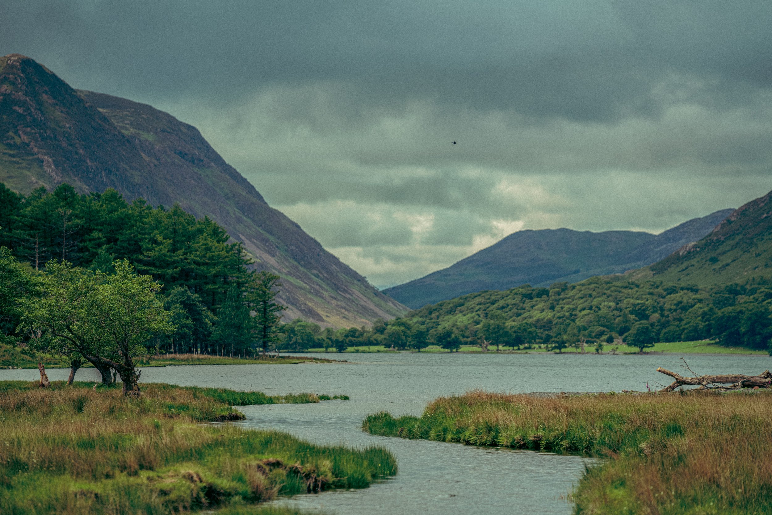 30319_NITW_LAKE_DISTRICT_06_2025_DSC00106_NEWL.jpg