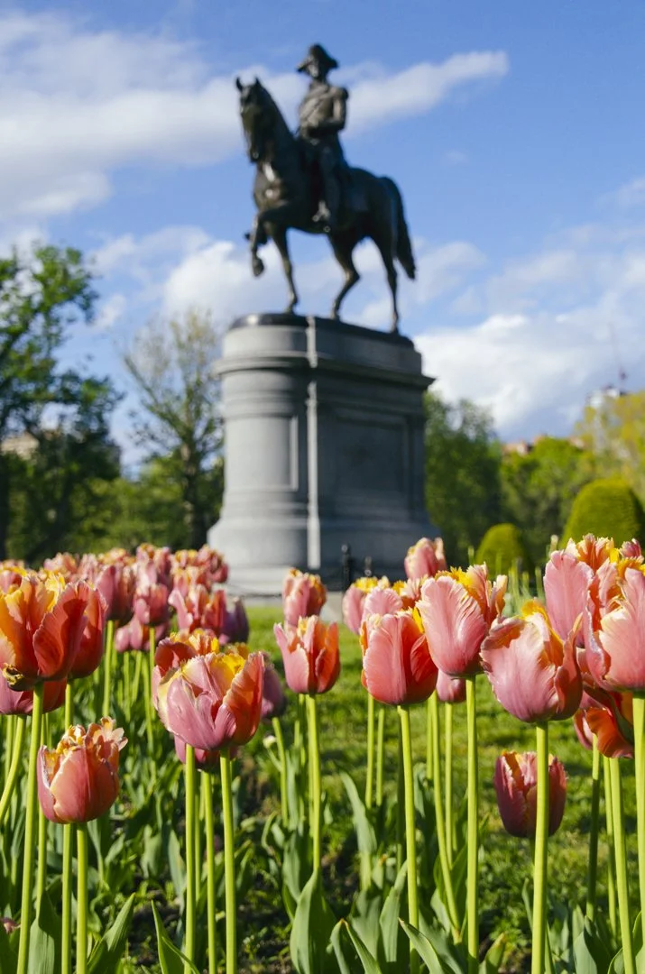 Public Garden in Spring.jpg
