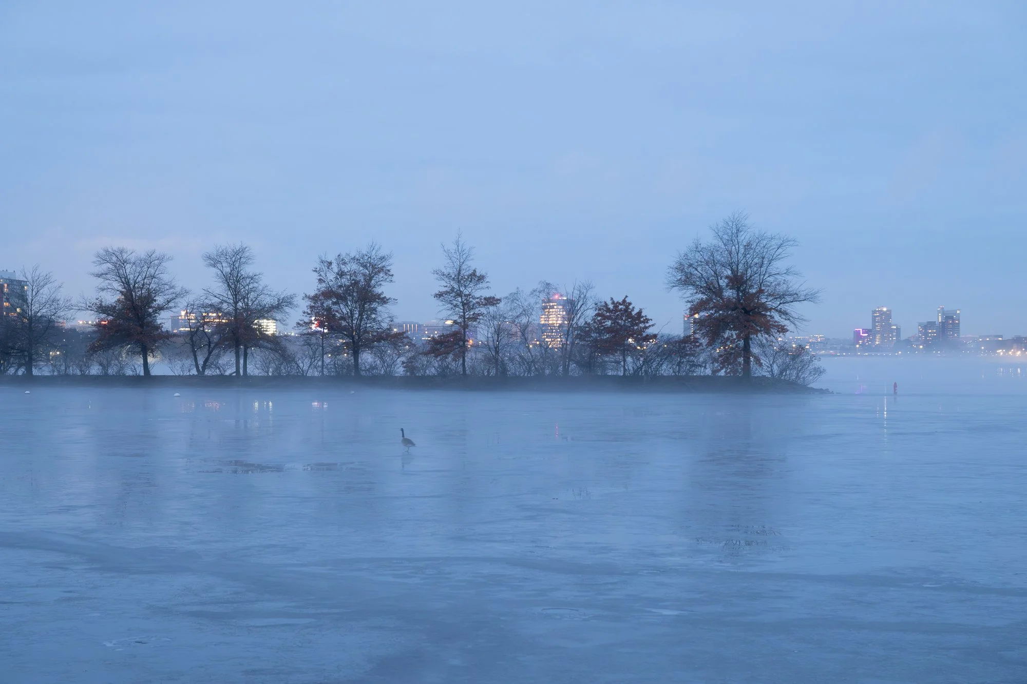 Esplanade in Winter.jpg