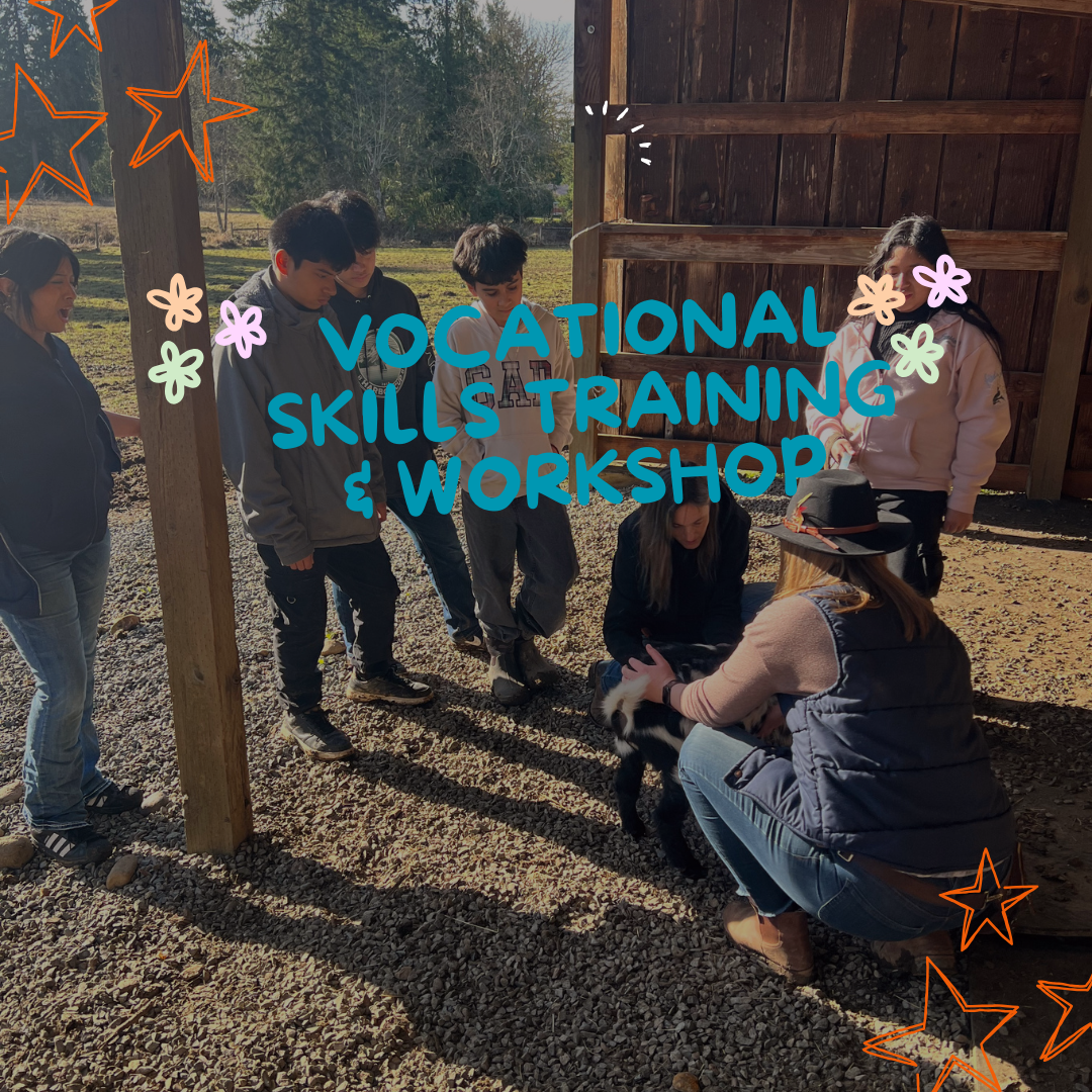 Vocational Skills Workshops