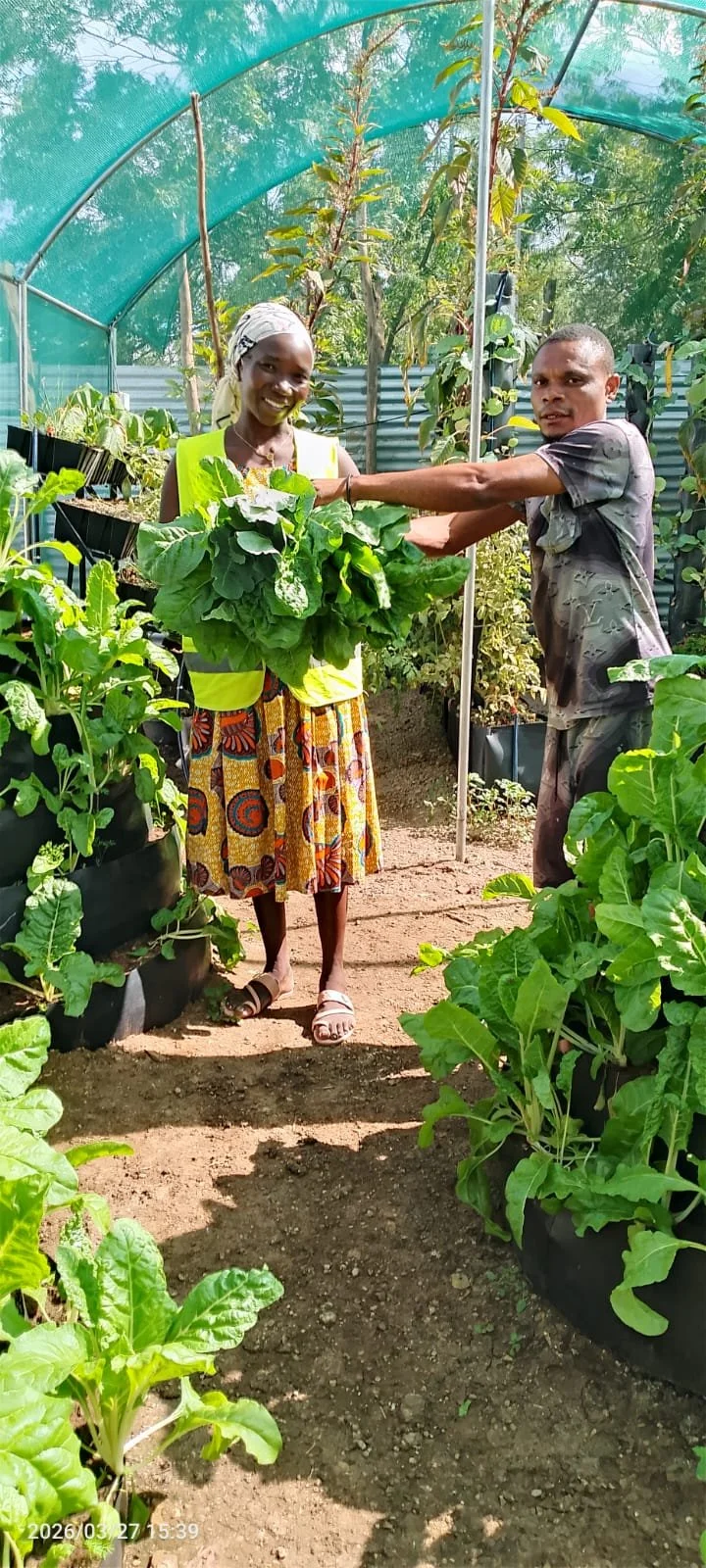A woman and a man inside a greenhouse with lush green plants. The woman is smiling and holding a large bunch of leafy greens, while the man is reaching toward her in a friendly manner.