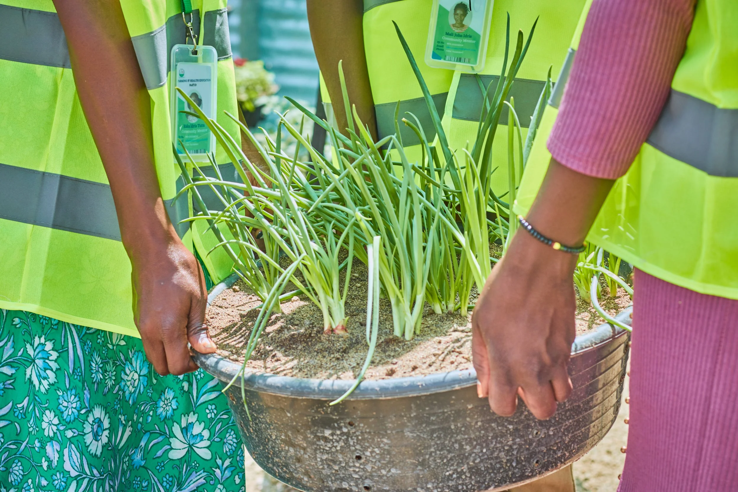 People in bright yellow safety vests holding a large pot of green onion plants.