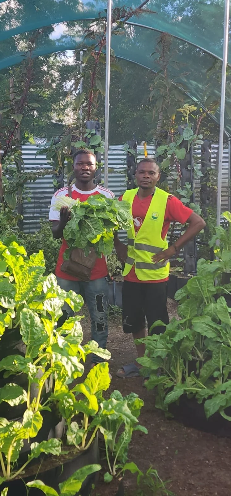 Two men standing in a greenhouse surrounded by lush green plants, one holding a bunch of leafy greens.