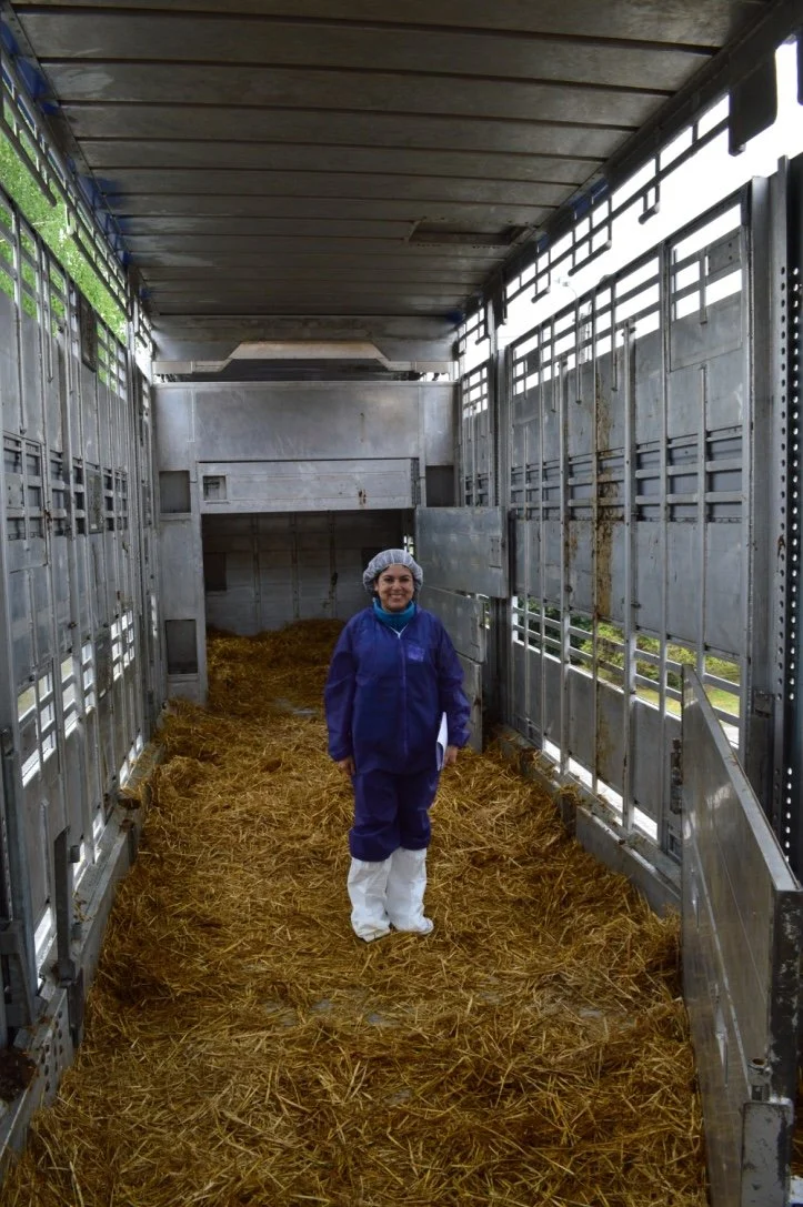Persona vestida con ropa protectora en un camión ranchero con cama de paja, posiblemente en un entorno agrícola o ganadero.