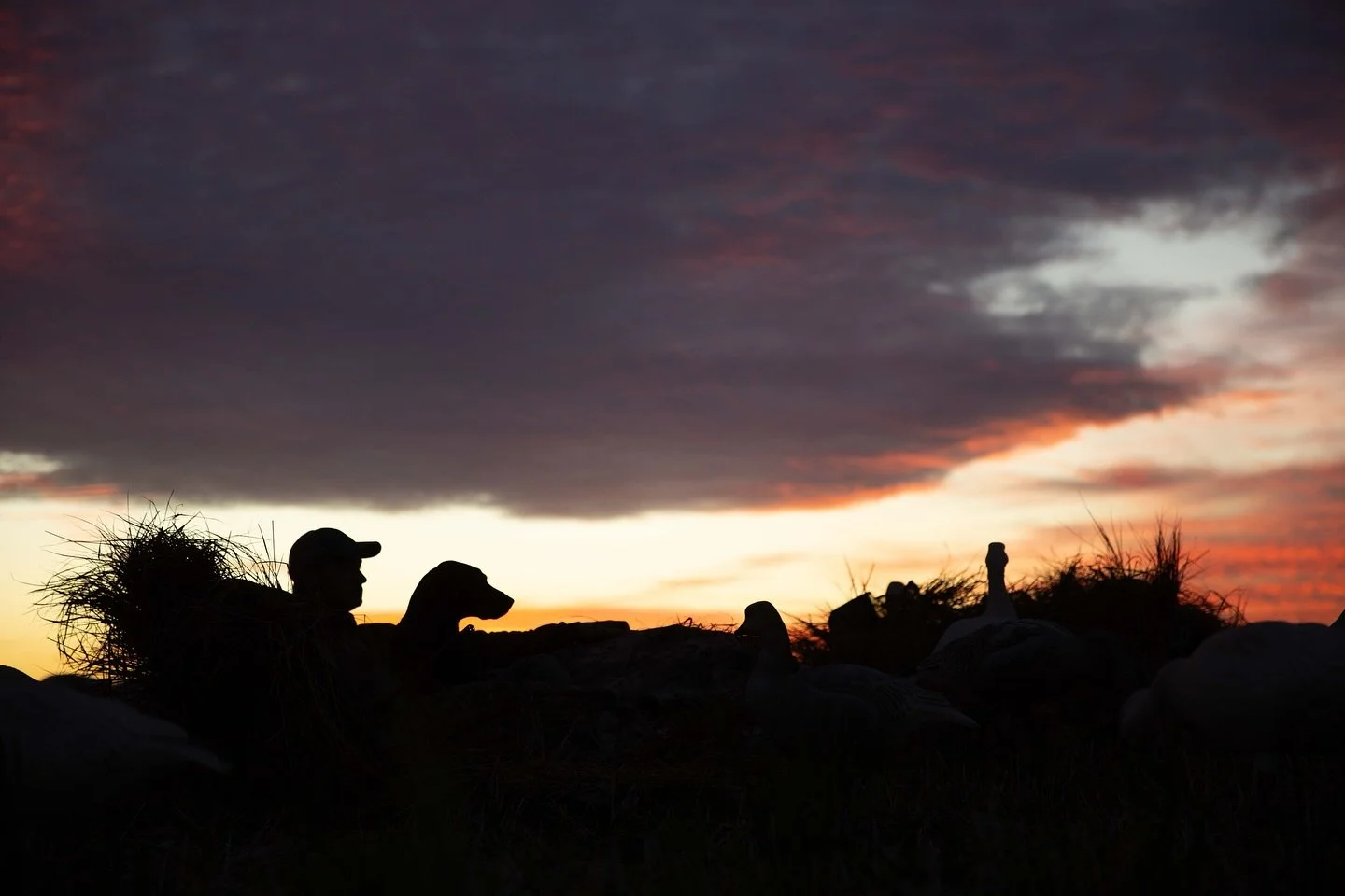 the sky has been putting on a show for us 

#YETI #BuiltForTheWild #YETIHunting
#Turtlebox #TurtleboxAudio #LoudPortableRugged
#OnX #OnXHunt #KnowWhereYouStand
#Migra #MigraAmmo #OneShellDoesItAll
#Hardcore #HardcoreWaterfowl #HardcoreHunter
#Sitka #