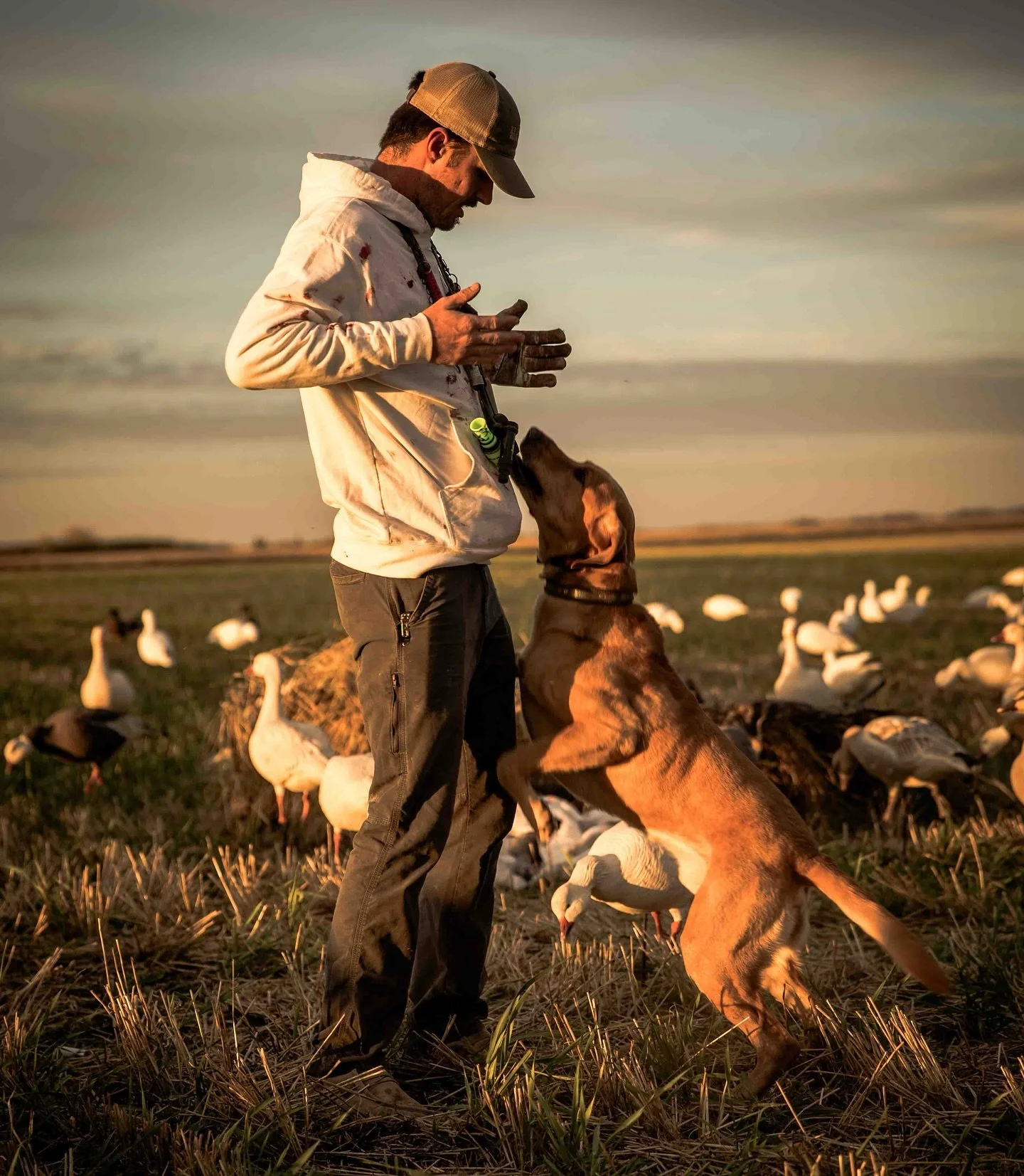 The most loyal hunting buddy you&rsquo;ll ever find

#YETI #BuiltForTheWild #YETIHunting
#Turtlebox #TurtleboxAudio #LoudPortableRugged
#OnX #OnXHunt #KnowWhereYouStand
#Migra #MigraAmmo #OneShellDoesItAll
#Hardcore #HardcoreWaterfowl #HardcoreHunter