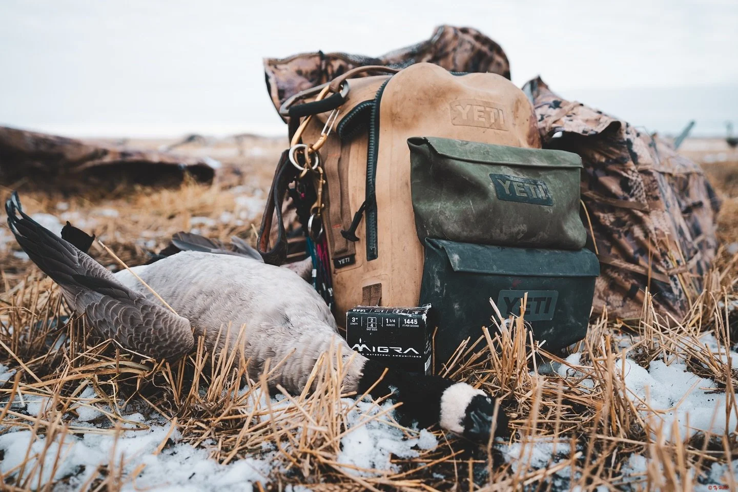 The kind of gear that doesn&rsquo;t quit when the hunt gets tough.

#YETI #BuiltForTheWild #YETIHunting #Turtlebox #TurtleboxAudio #LoudPortableRugged #OnX #OnXHunt #KnowWhereYouStand #Migra #MigraAmmo #OneShellDoesItAll #Hardcore #HardcoreWaterfowl 